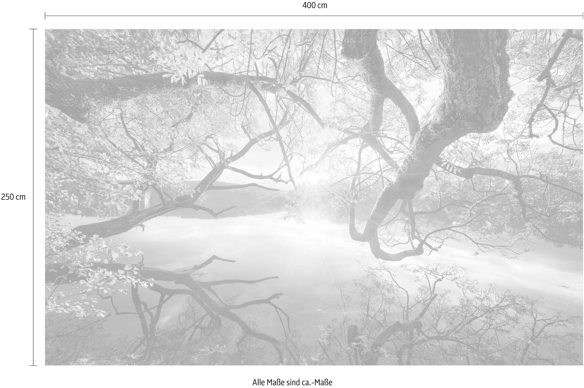 Komar Vliestapete »Digitaldruck Vlies - Golden Embrace - Größe 400 x 250 cm«, bedruckt, Wohnzimmer, Schlafzimmer