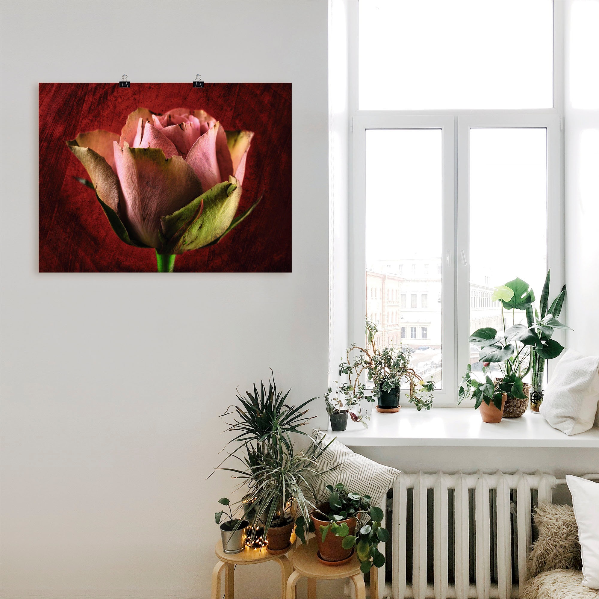 Artland Poster »Rosa Rose«, Blumen, (1 St.), als Leinwandbild, Wandaufkleber oder Poster in versch. Größen