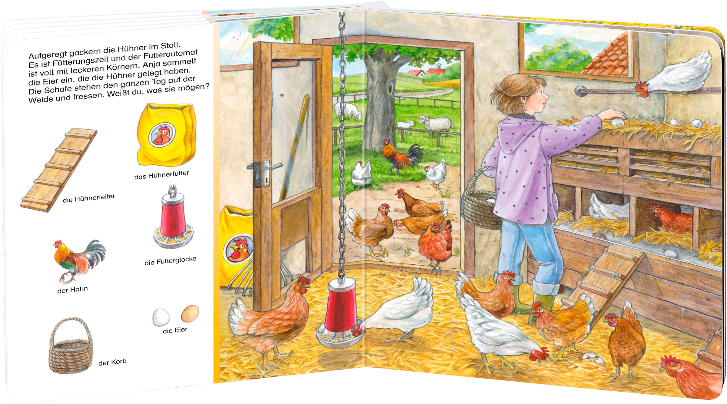 Ravensburger Buch »Pappbilderbuch, Sachen suchen: Auf dem Bauernhof«