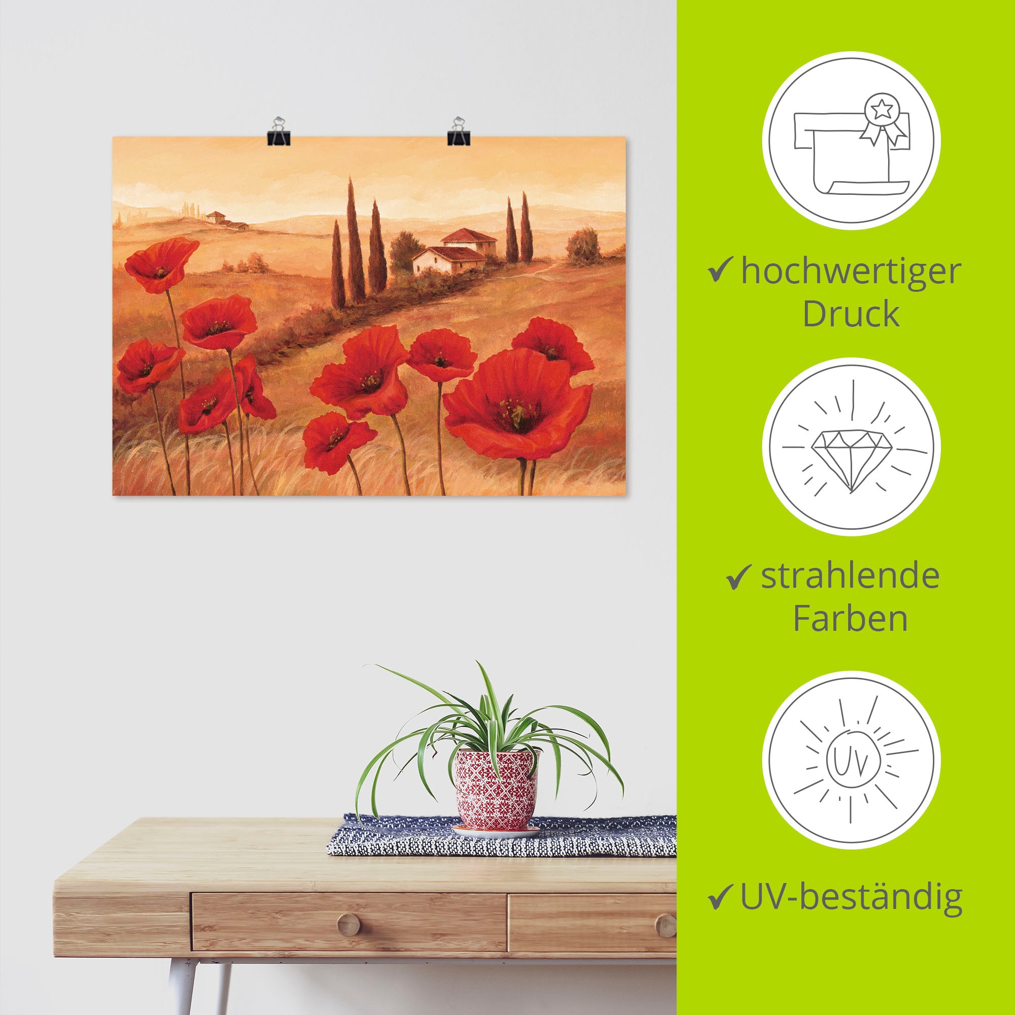 Artland Wandbild »Mohnblumen in der Toskana« Europa 1 Stk. tlg. als Leinwandbild, Poster in verschied. Größen