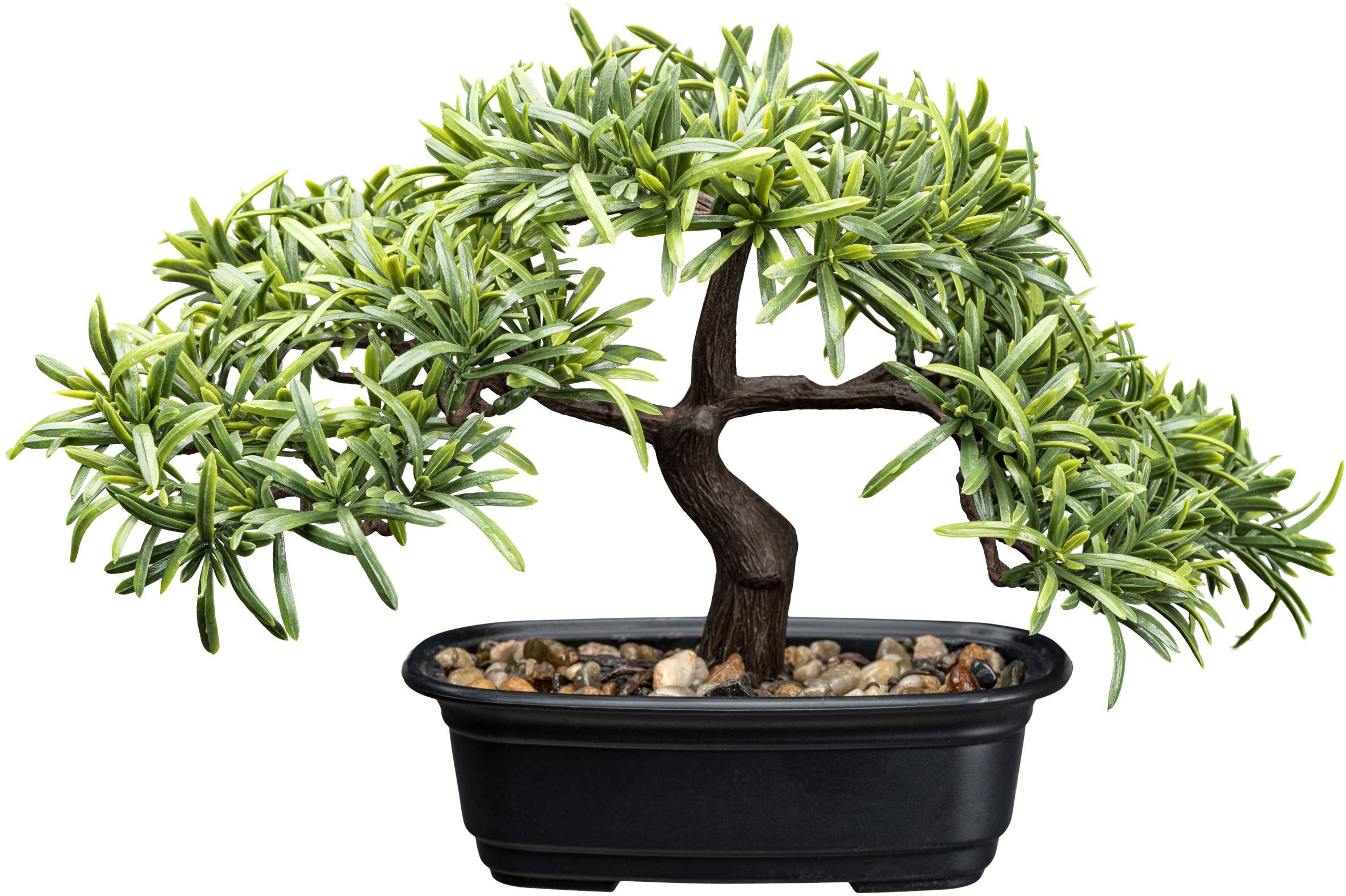 Creativ green Kunstbonsai »Bonsai Steineibe«, mit Deko-Kies