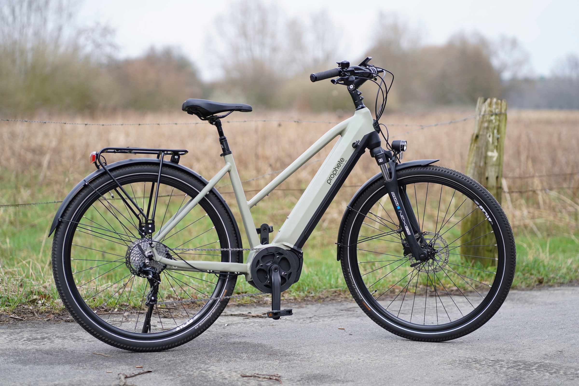 Prophete E-Bike »Entdecker 4.0«, 10 Gang, microSHIFT, RD-M61S, Mittelmotor 250 W, Pedelec, Elektrofahrrad für Damen, Trekkingrad