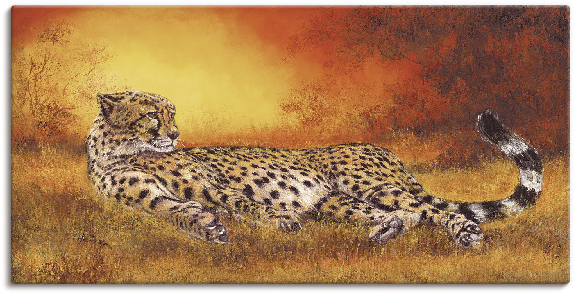Artland Wandbild »Gepard Savanne«, Größen Poster als Alubild, oder Leinwandbild, Wandaufkleber (1 UNIVERSAL | Wildtiere, St.), kaufen in versch
