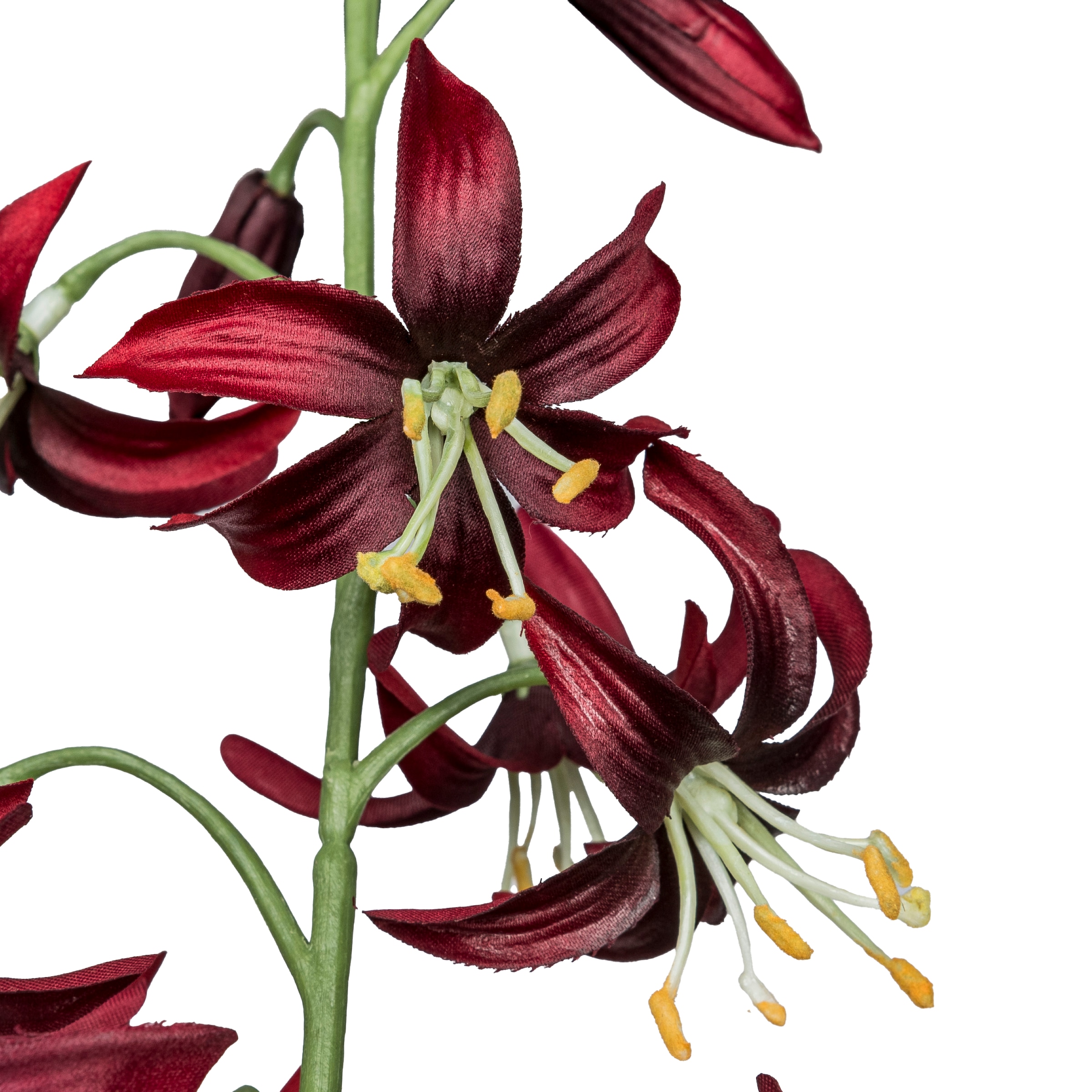 Creativ green Kunstblume »Wildlilienzweig« mit zauberhaften Blüten