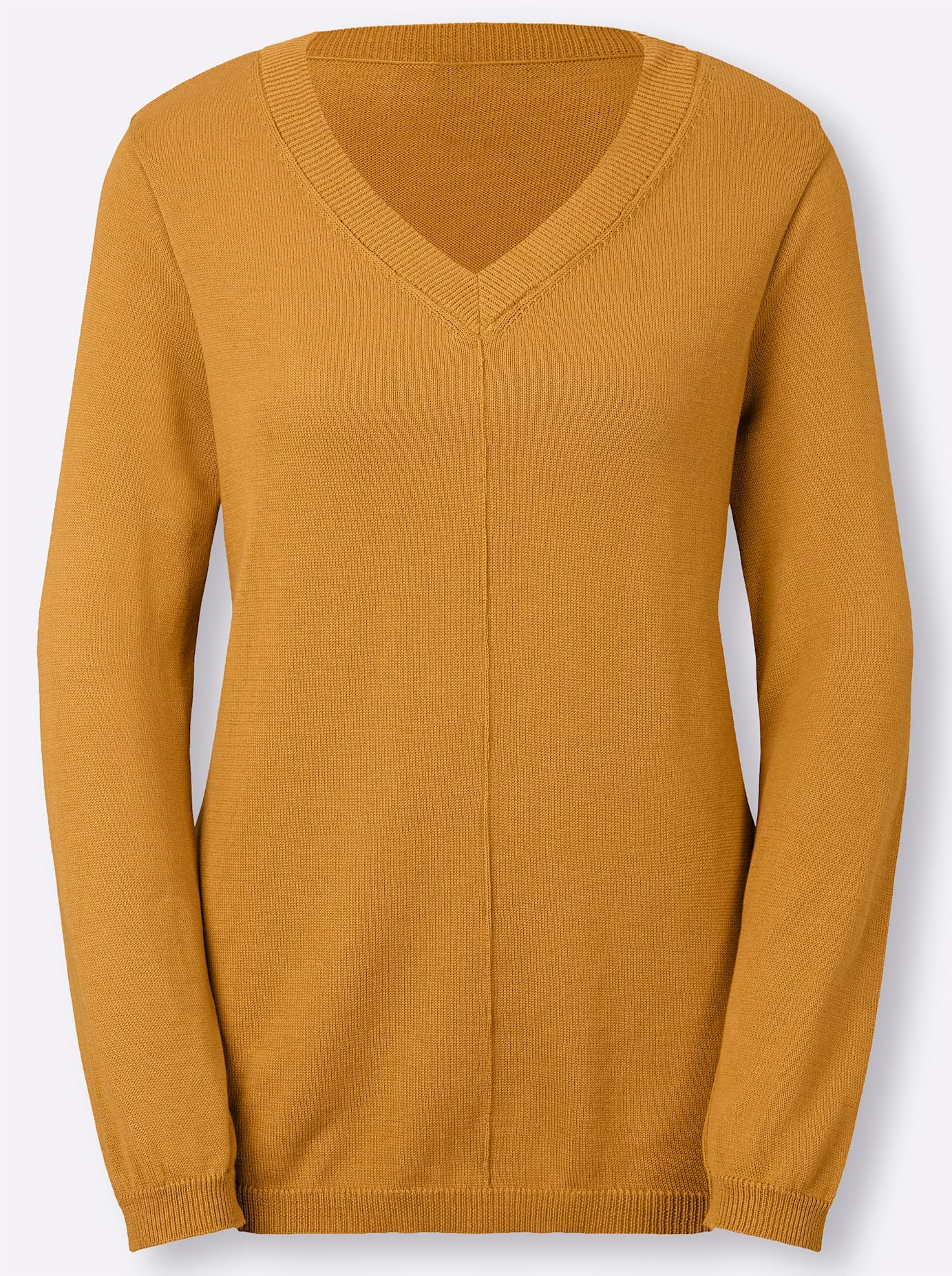 Inspirationen V-Ausschnitt-Pullover »Pullover«