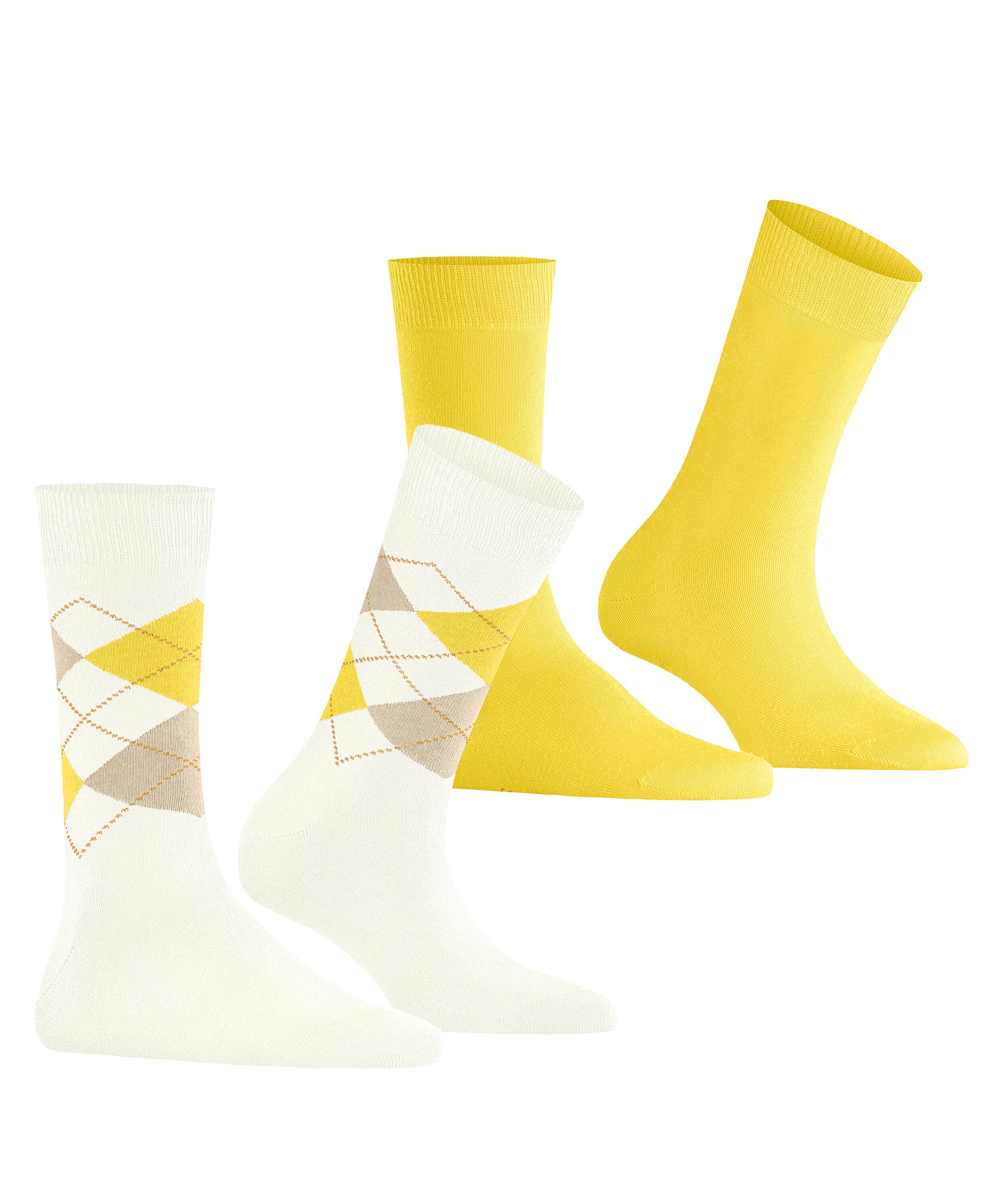 Burlington Socken »Everyday Mix 2-Pack« 2 Paar tlg.
