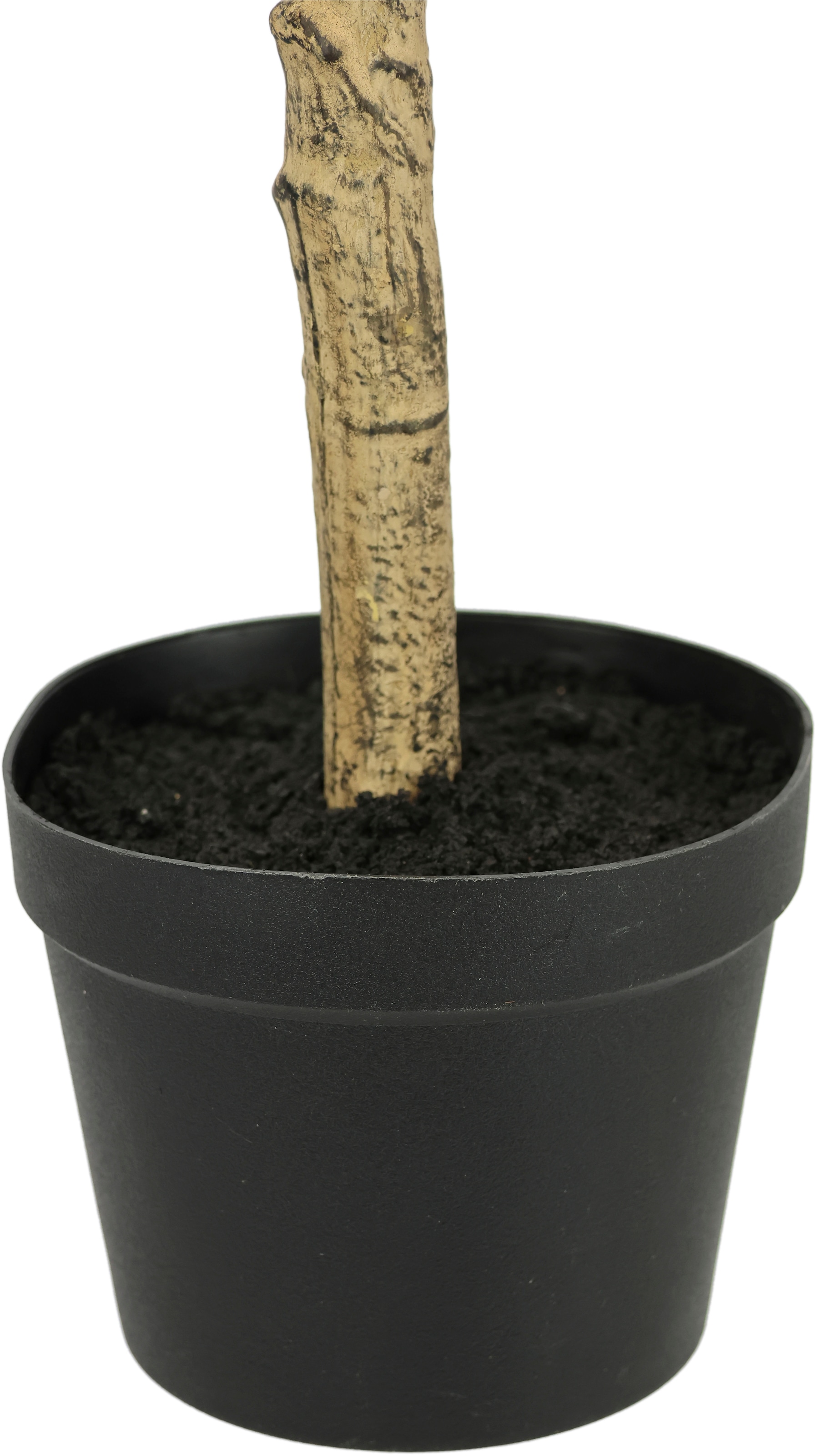 I.GE.A. Kunstpflanze »Künstlicher Olivenbaum mit schwarzen Früchten« Auf Stamm Kugelbaum Ölbaum Grünpflanze Kunstbaum Dekobaum Baum Pflanze