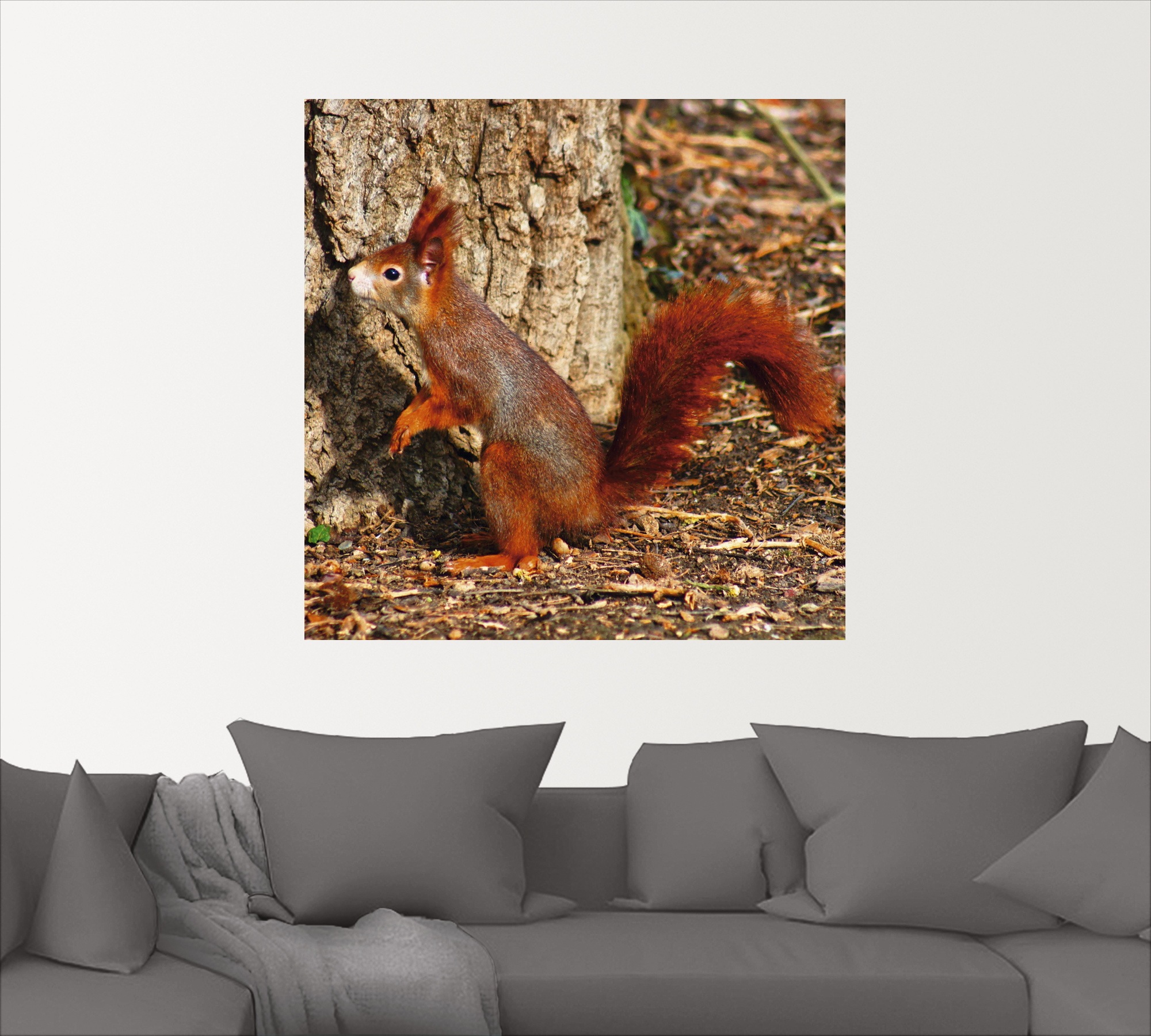 Artland Wandbild »Rotes Eichhörnchen will hoch hinaus«, Wildtiere, (1 St.), als Poster, Wandaufkleber in verschied. Größen