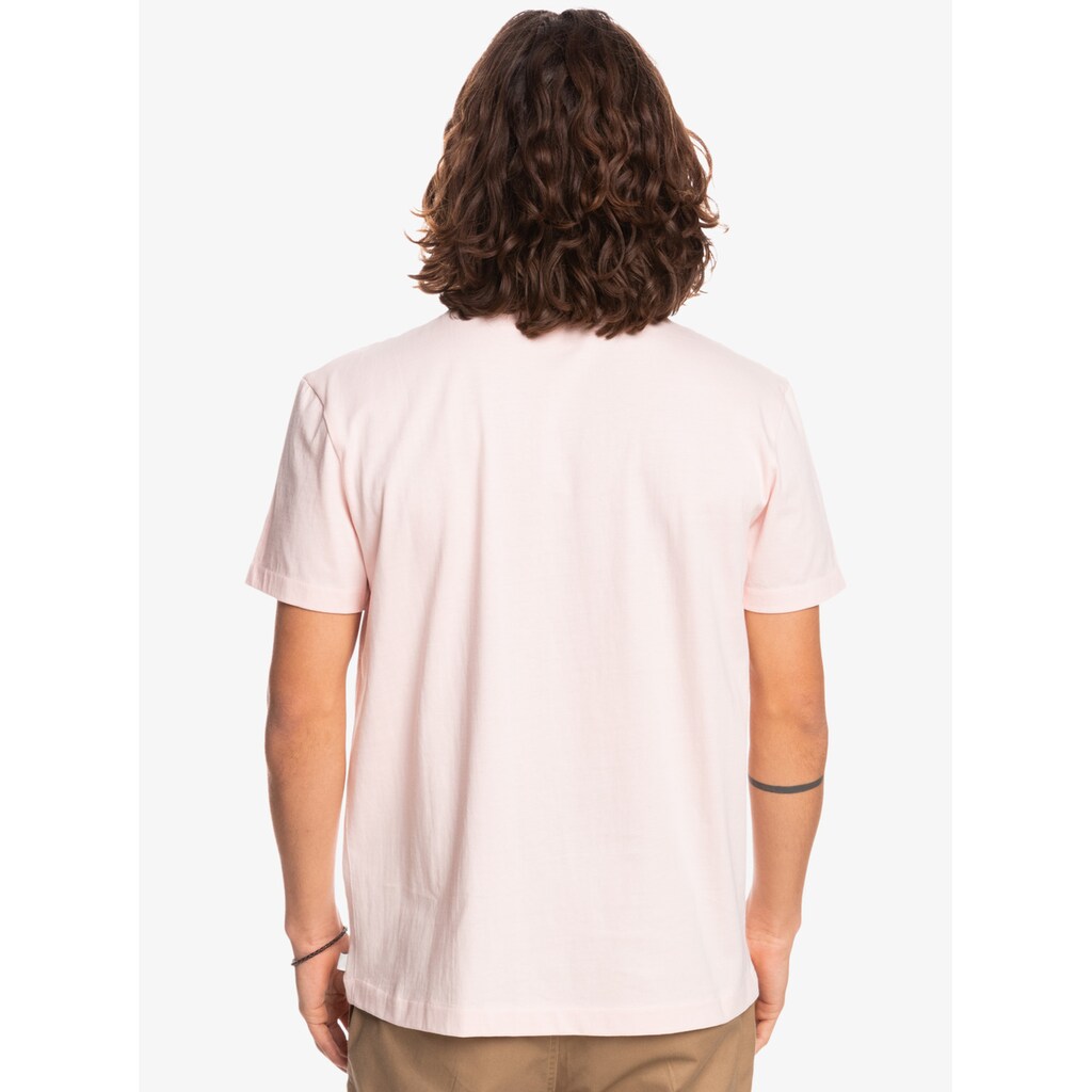 Quiksilver T-Shirt »Essentials«