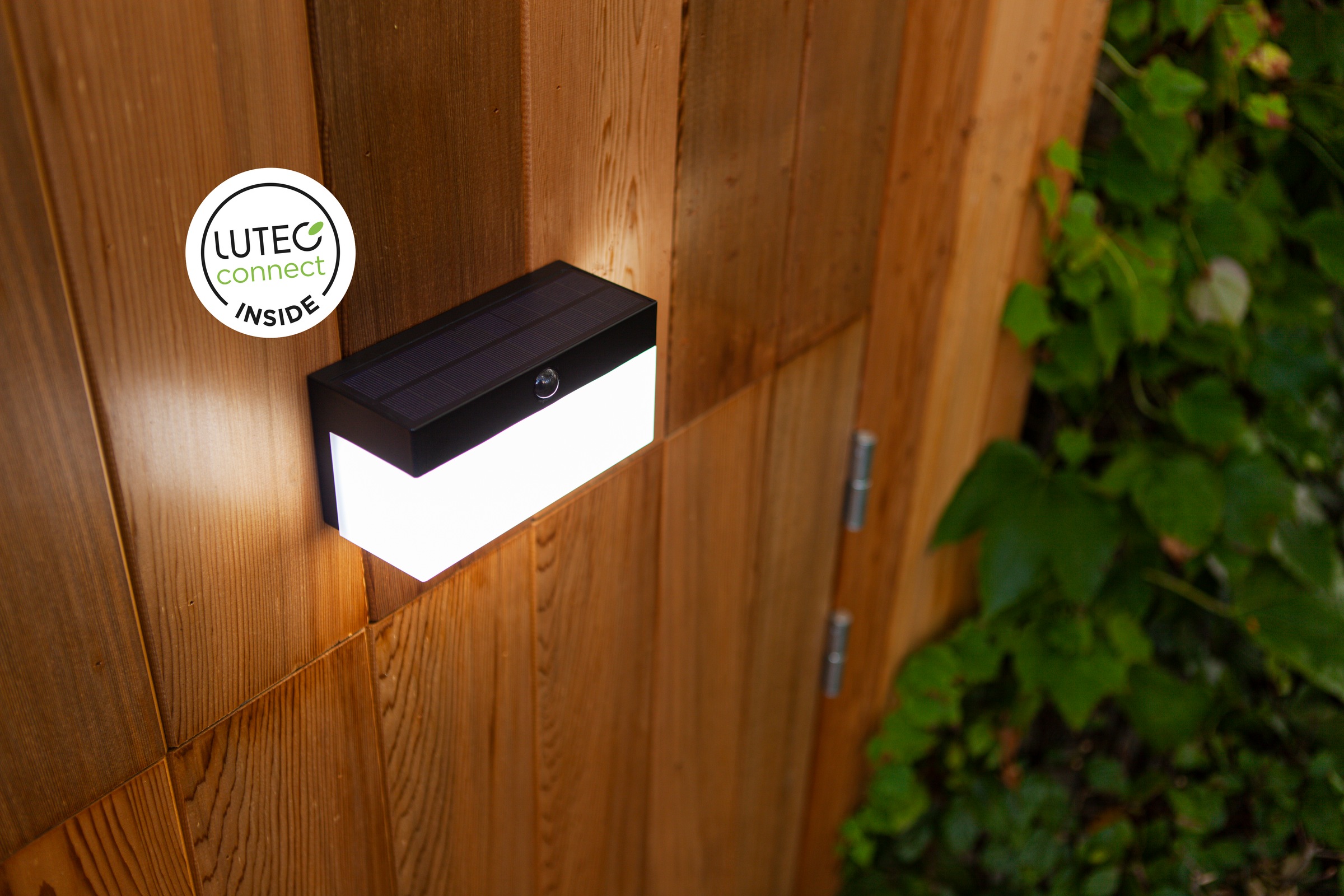 LUTEC LED Solarleuchte »LED-Solar-Wandl. FRAN«, 1 flammig, Leuchtmittel LED-Board | LED fest integriert