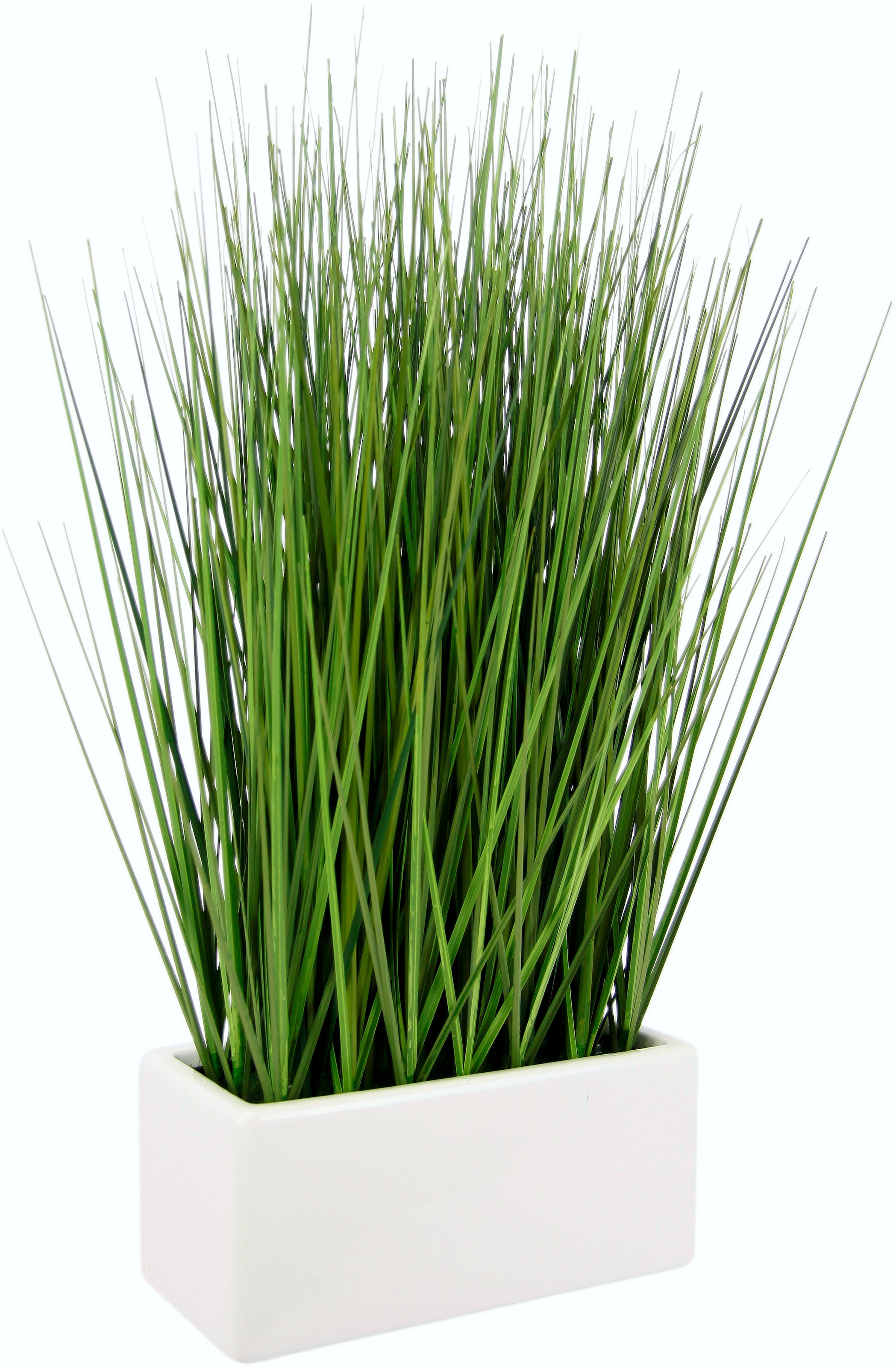I.GE.A. Kunstgras »Gras«, in Keramikschale
