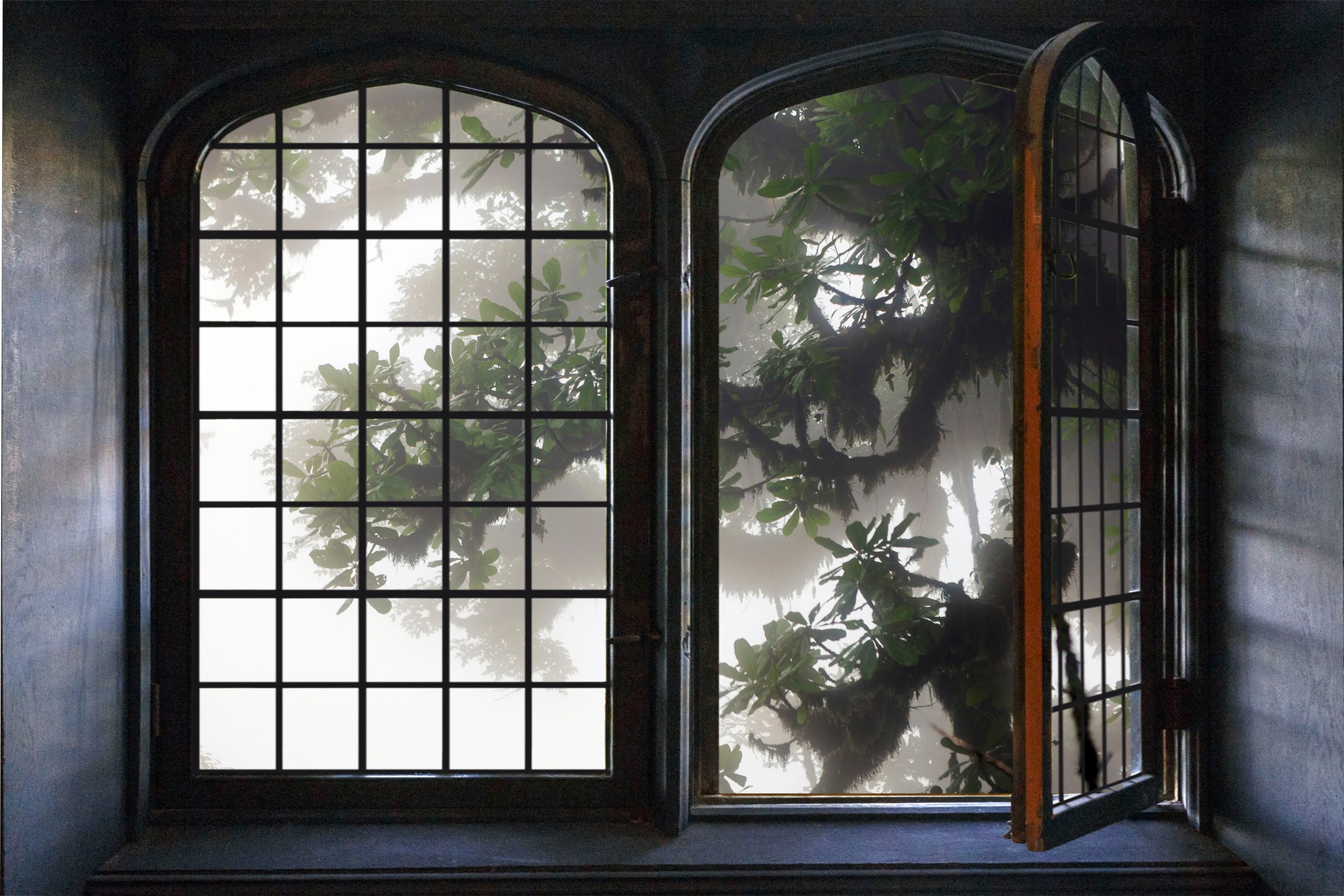 queence Wandsticker »Urwald« Wandsticker, Wandbild, selbstklebend, 3D, Fenster
