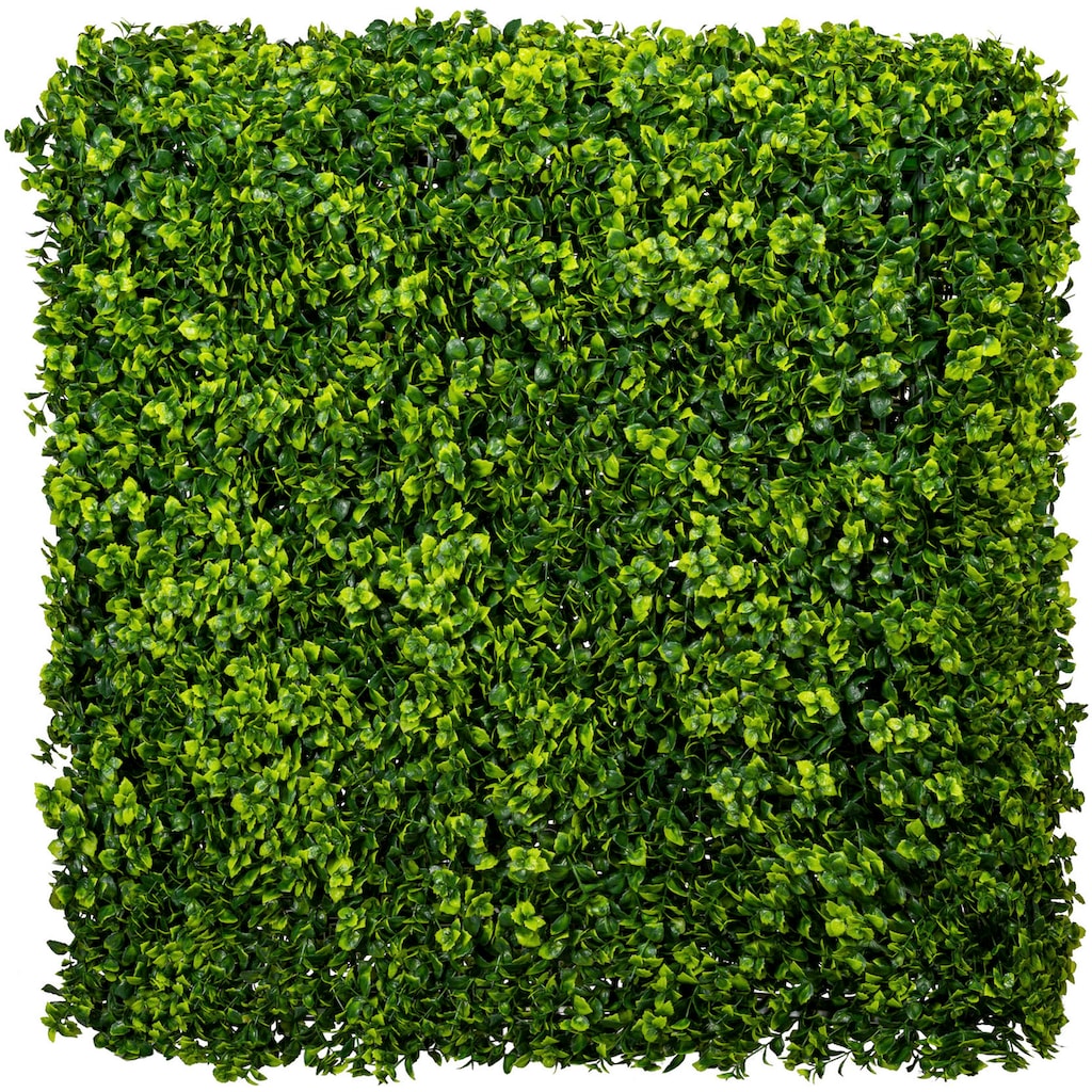 Creativ green Kunstpflanze »Ilex crenata Hecke«