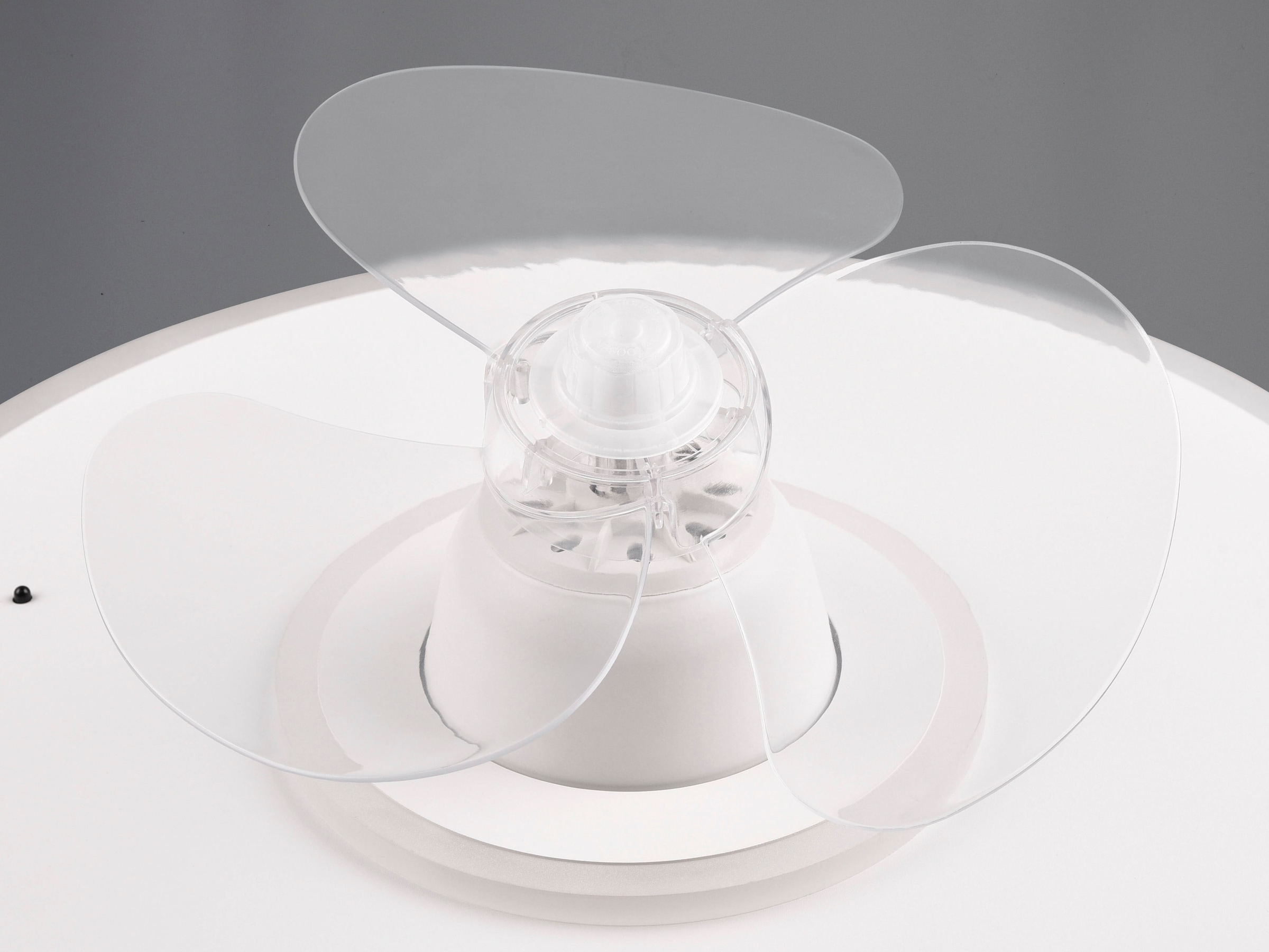 REALITY Leuchten LED Deckenleuchte »Nybro Deckenventilator« LED-Board 1 Stk. warmweiß - kaltweiß Deckenlampe, Ventilator 3 Stufen, Fernbedienung,Lichtfarbe einstellbar