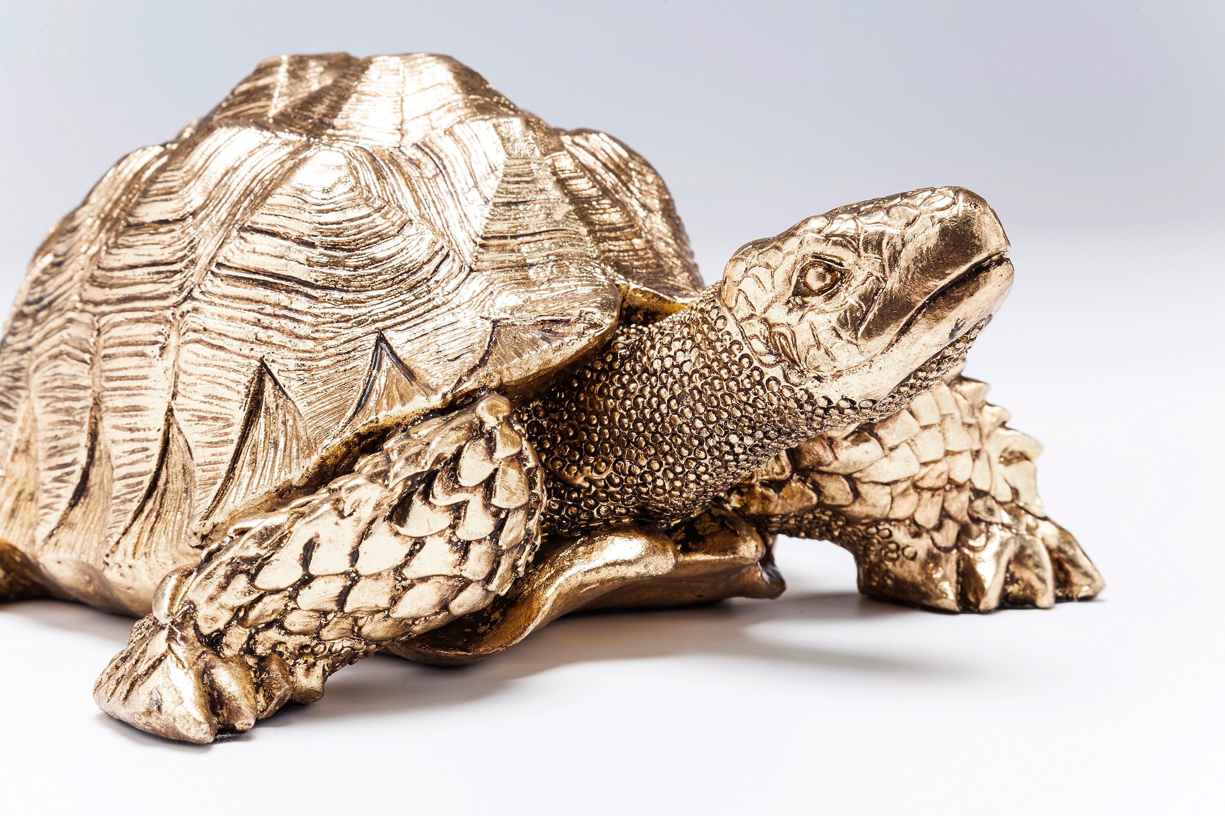 Kare Design Dekofigur »Deko Figur Turtle Gold Klein«