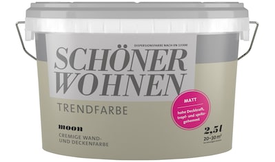 SCHÖNER WOHNEN-Kollektion Wand- und Deckenfarbe »Trendfarbe, matt«, 2,5 Liter, Moon,... kaufen