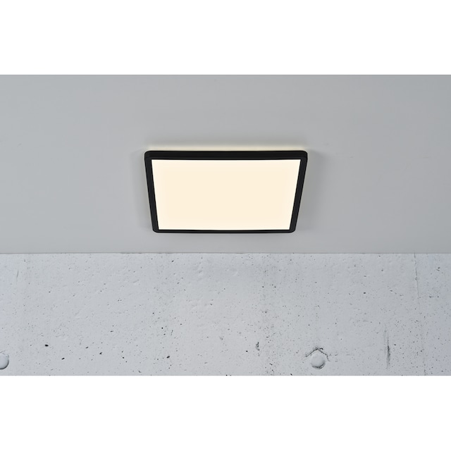 Nordlux LED Deckenleuchte »OJA«, 1 flammig-flammig, Farbwechsel, inkl. LED  Modul, inkl. Dimmer online kaufen | mit 3 Jahren XXL Garantie