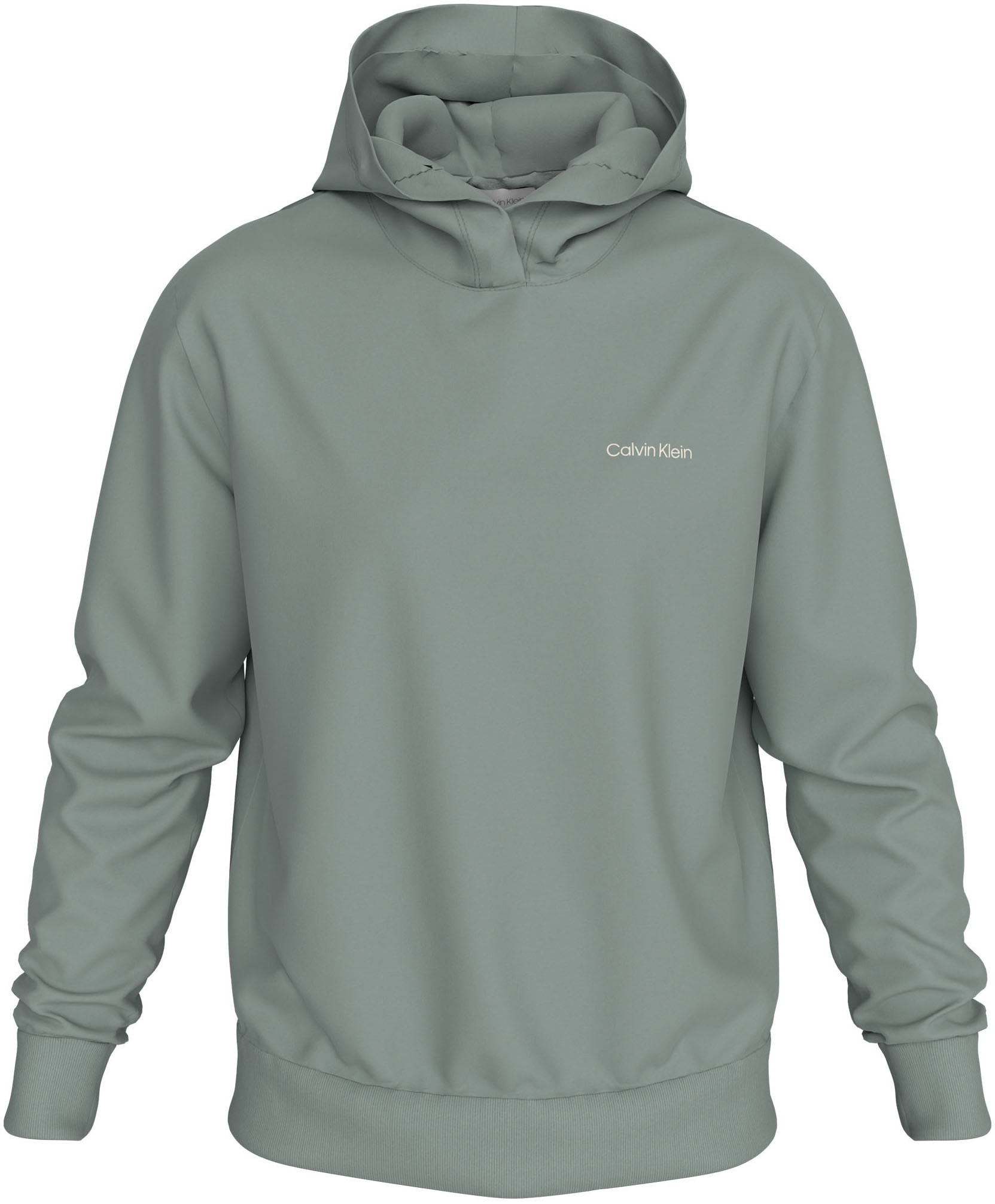 Kapuzensweatshirt »ENLARGED BACK LOGO HOODIE«, mit Logodruck