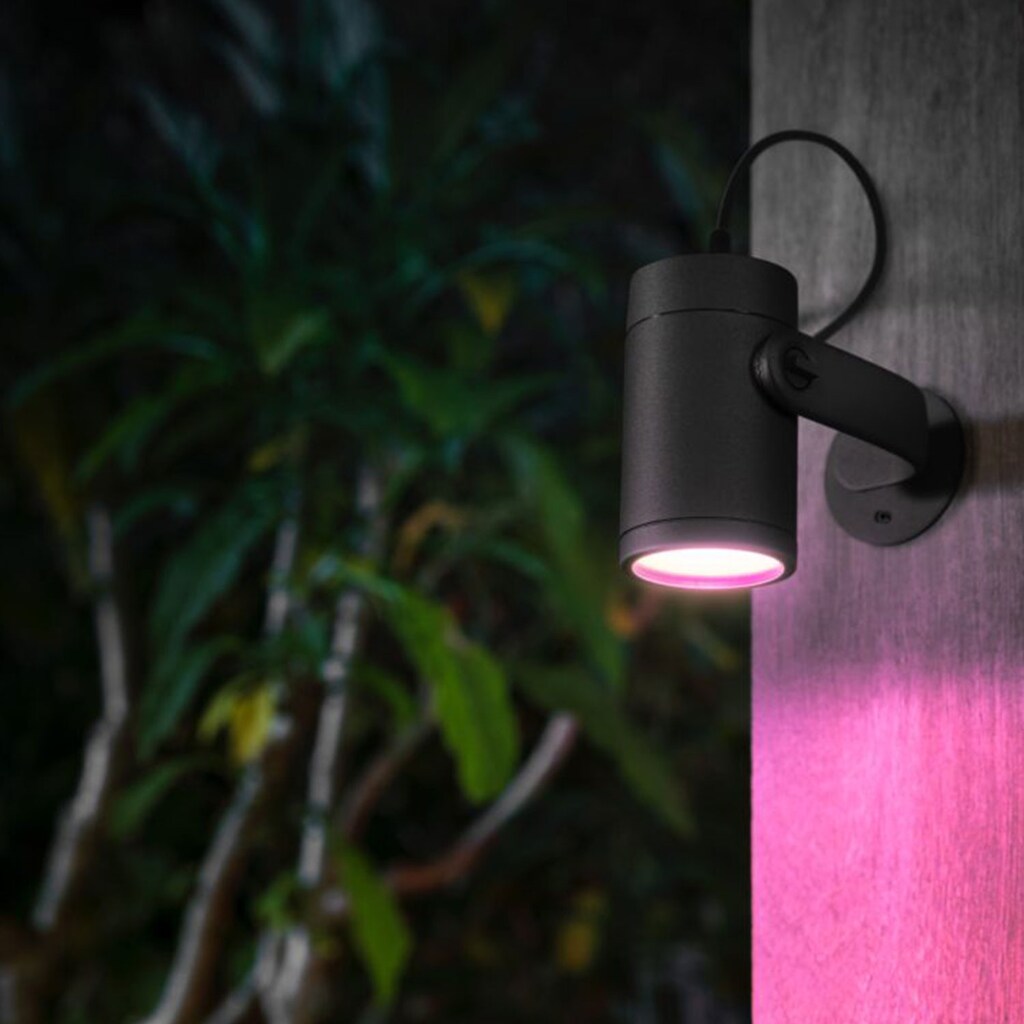 Philips Hue Smarte LED-Leuchte »Lily«