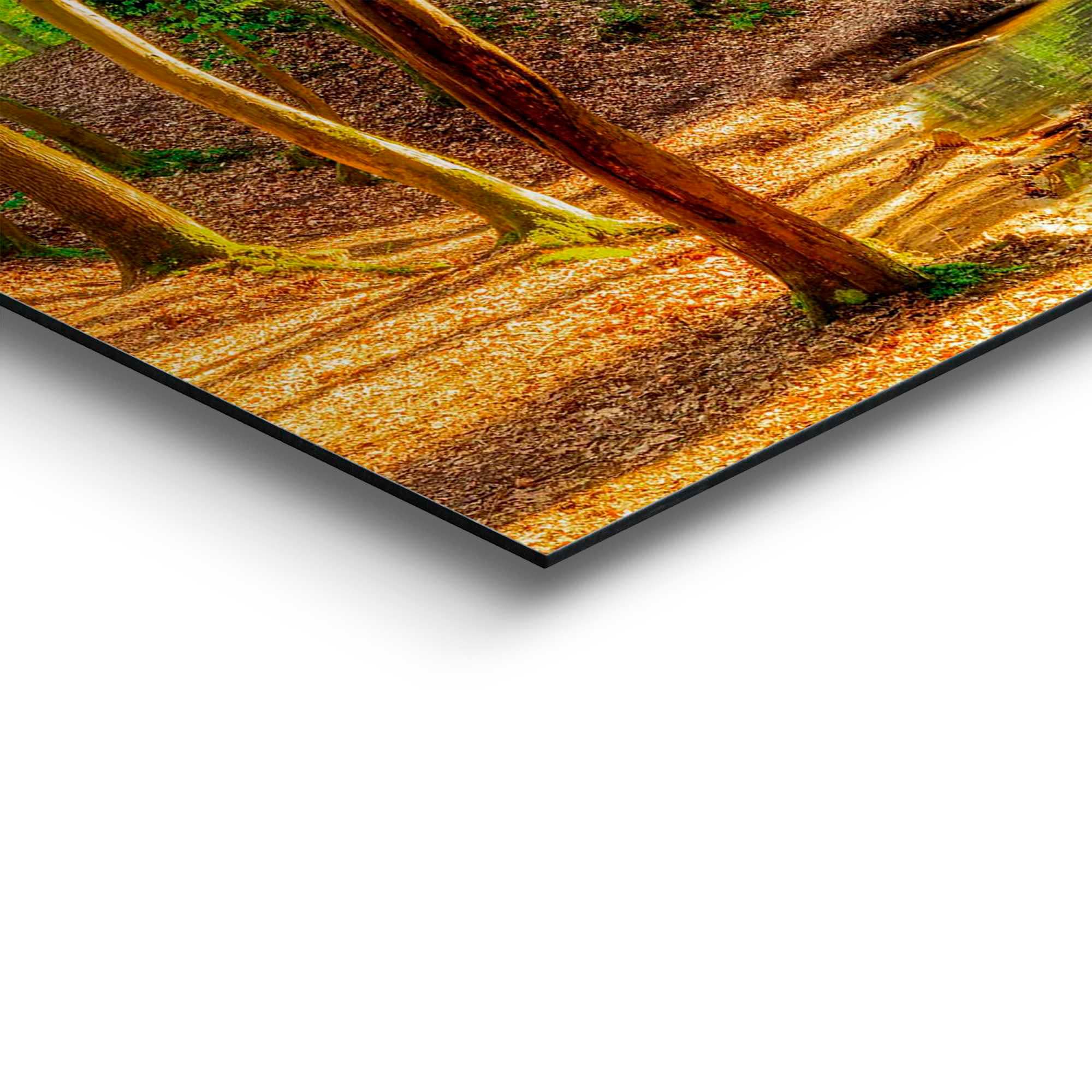 Reinders! bestellen Deco-Panel »Sonniger Wald« auf Raten