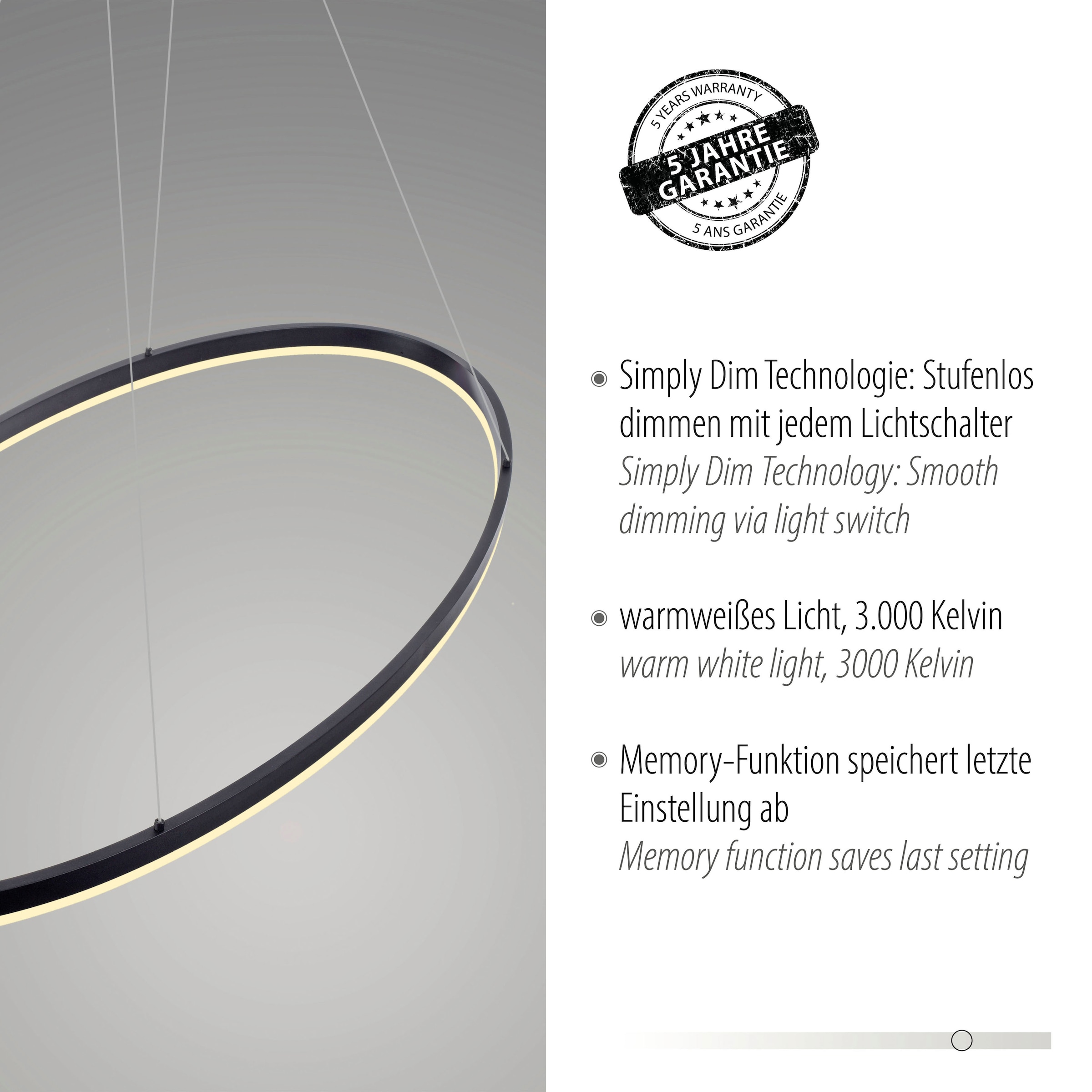 Paul Neuhaus Pendelleuchte »TITUS«, 1 flammig, Leuchtmittel LED-Board | LED fest integriert, LED, Simply Dim