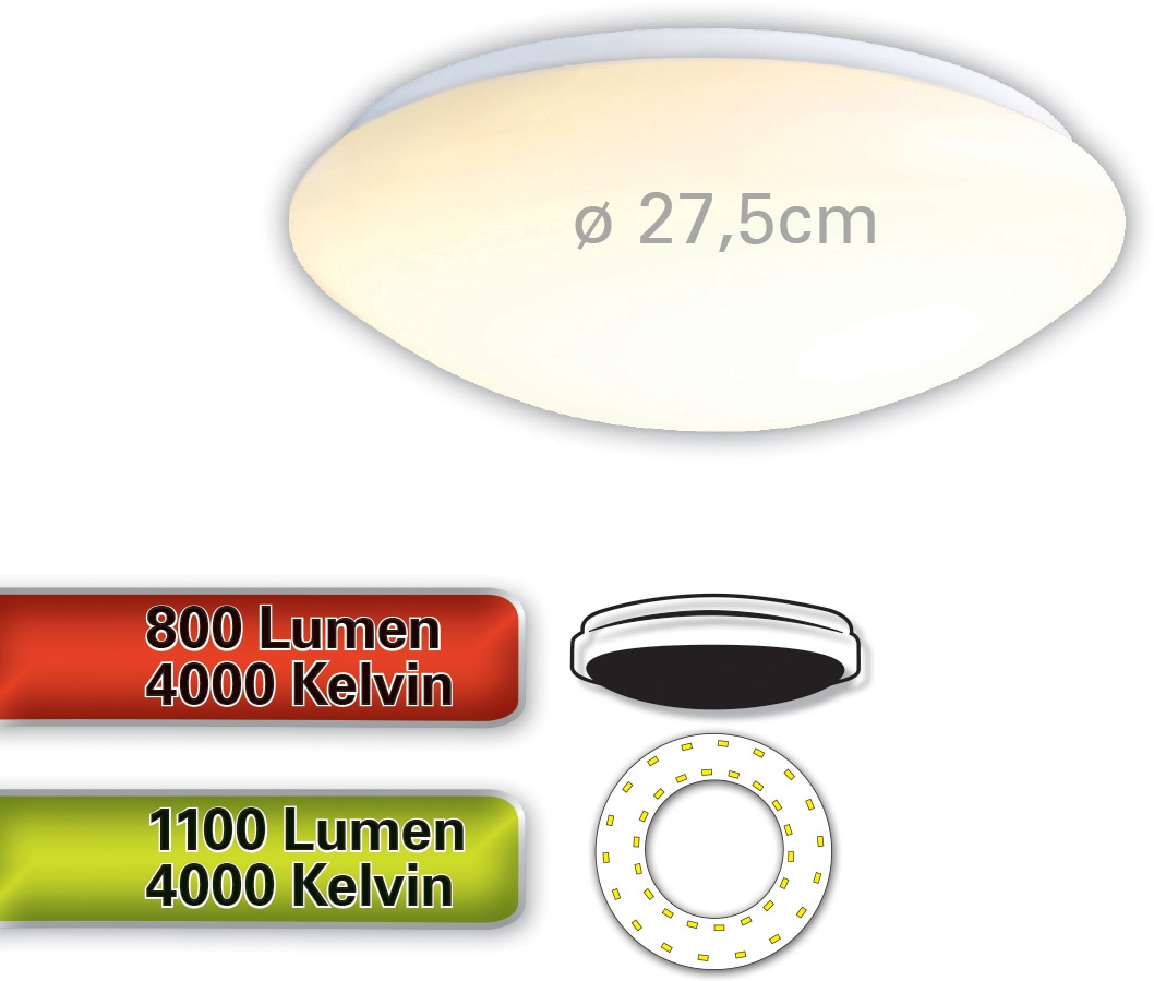 Deckenleuchte 3 Jahren LED LED online mit Garantie Deckenlampe »Dublin«, näve | kaufen XXL