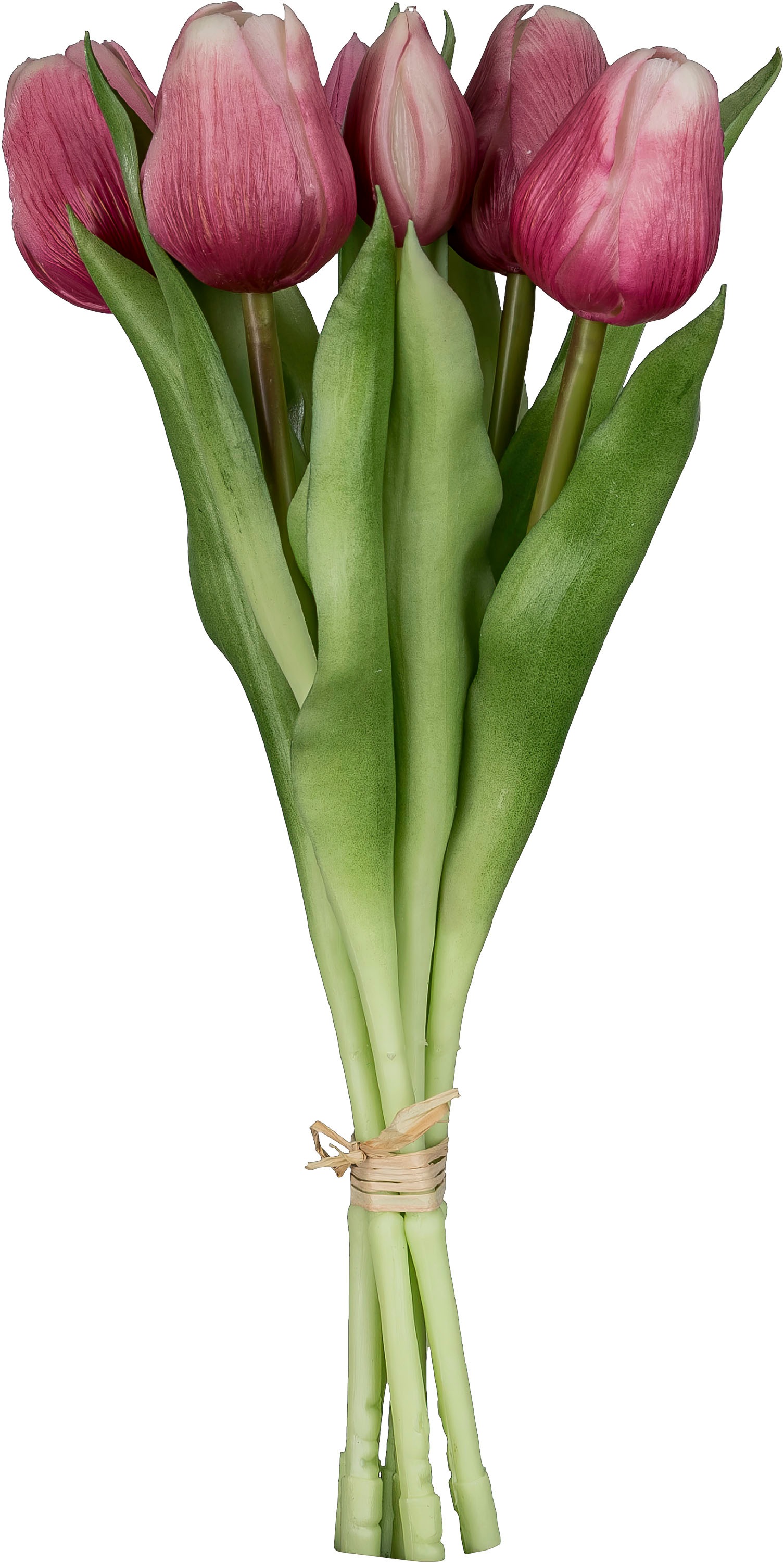 Creativ green Kunsttulpe »Tulpenbund« aus 6 Einzelstielen