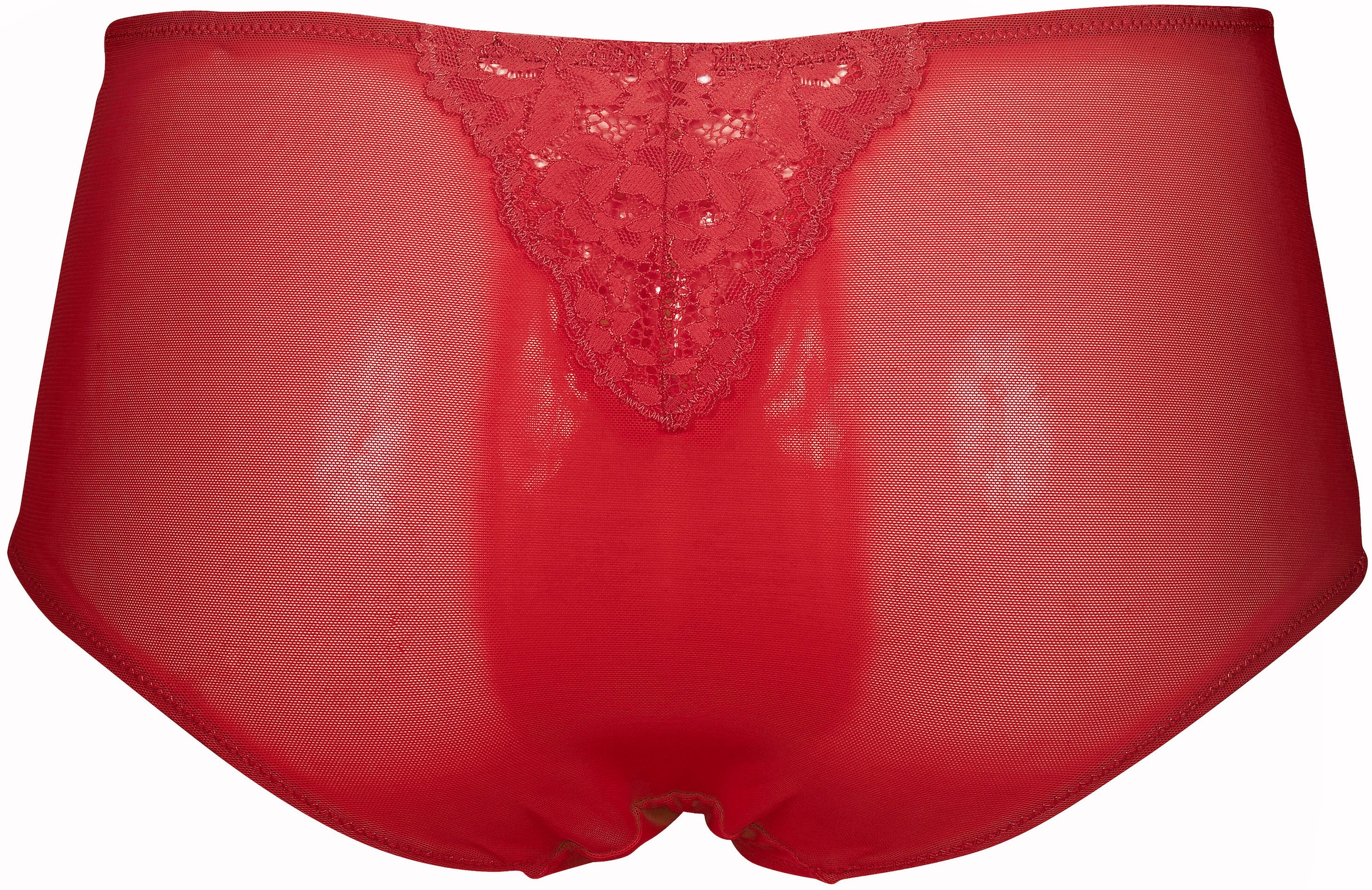 After Eden D-cup & up High-Waist-Slip »BO«, mit Spitzen-Details vorne und hinten