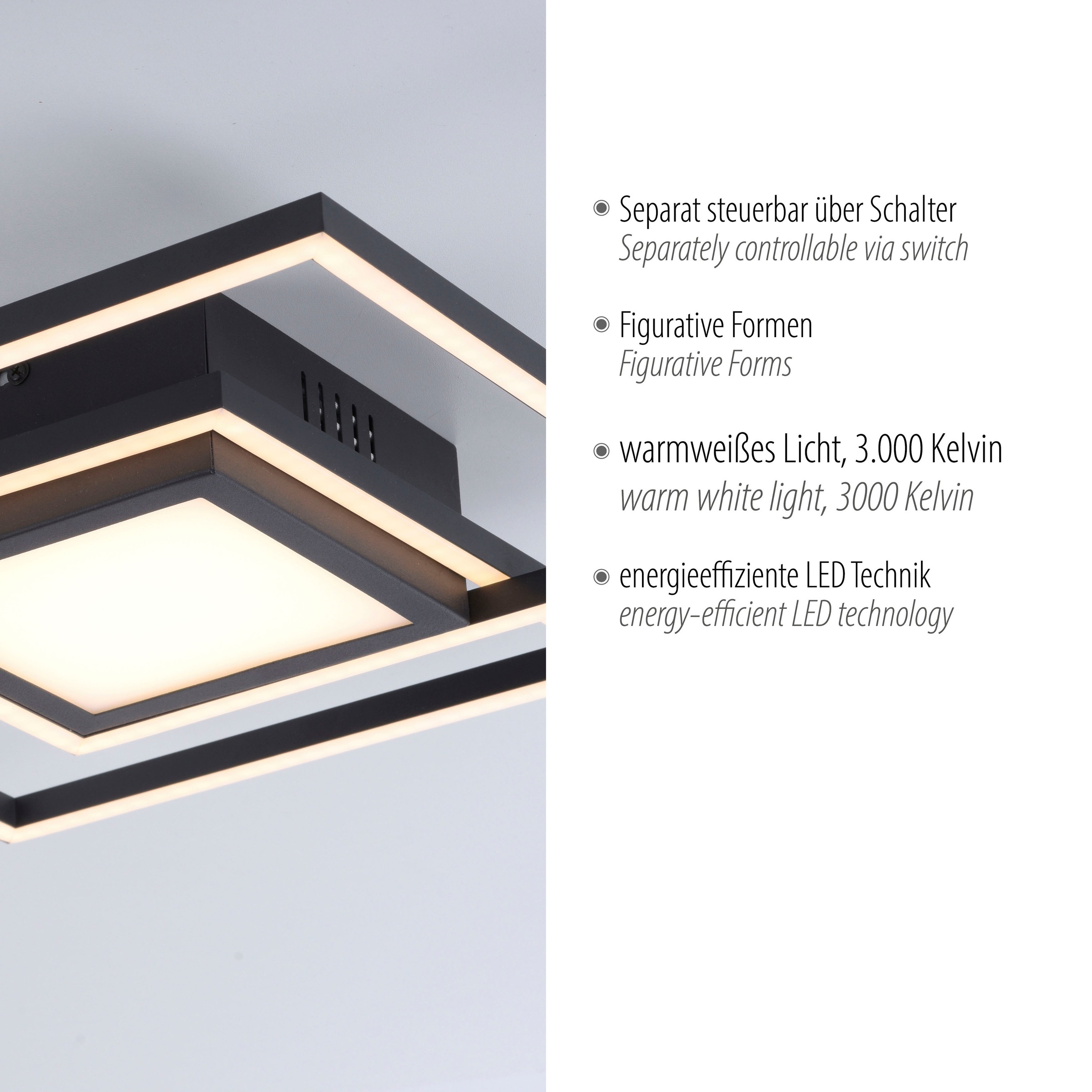 JUST LIGHT Deckenleuchte »ASMIN«, 1 flammig, Leuchtmittel LED-Board | LED fest integriert