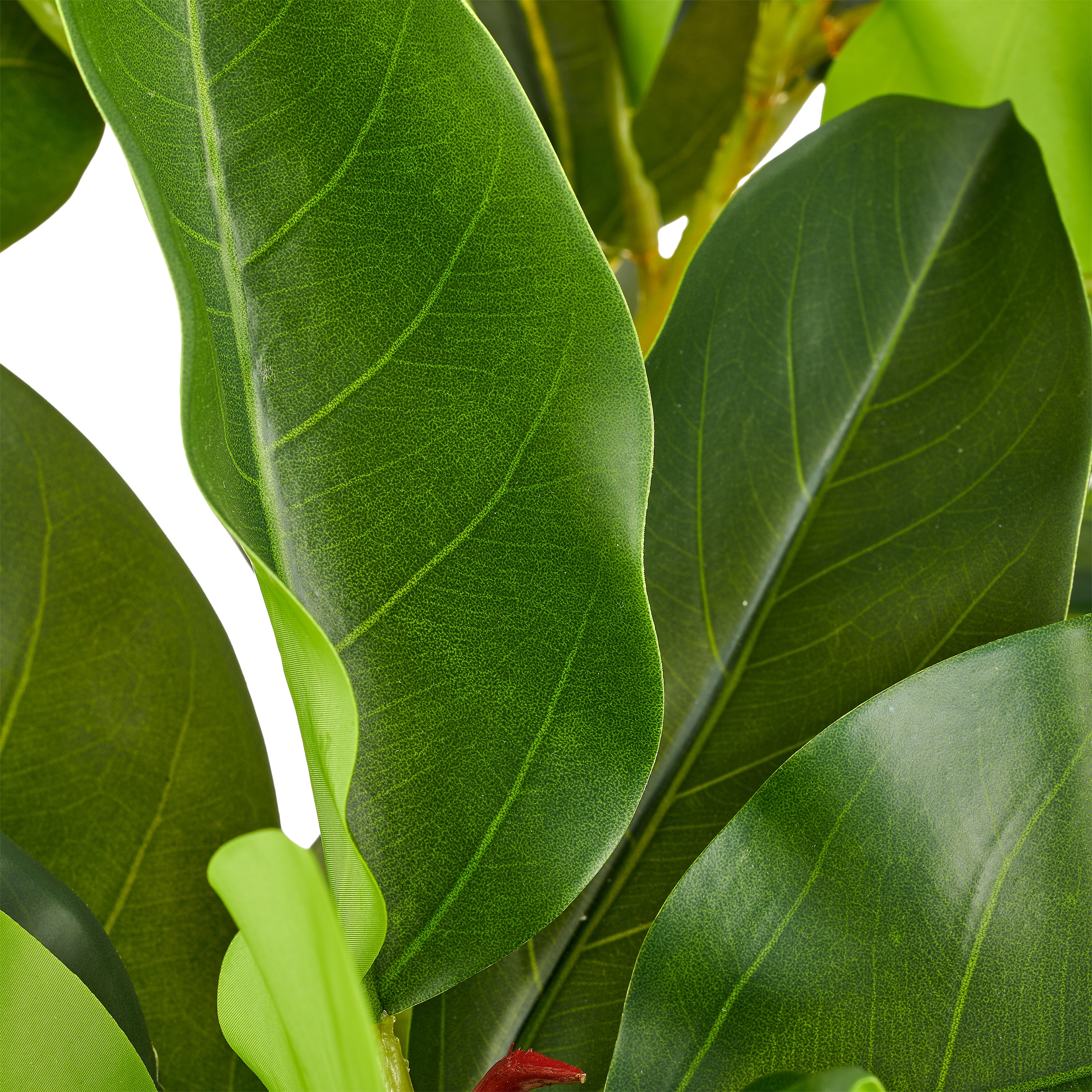 Creativ green Kunstbaum »Ficus« mit üppigem Blattwerk