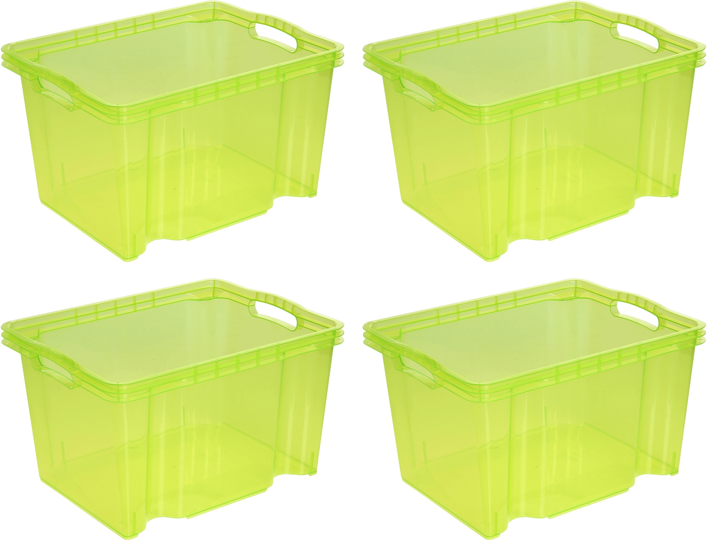 keeeper Organizer "franz" Aufbewahrungsbox, 13,5 L, hochwertiger Kunststoff