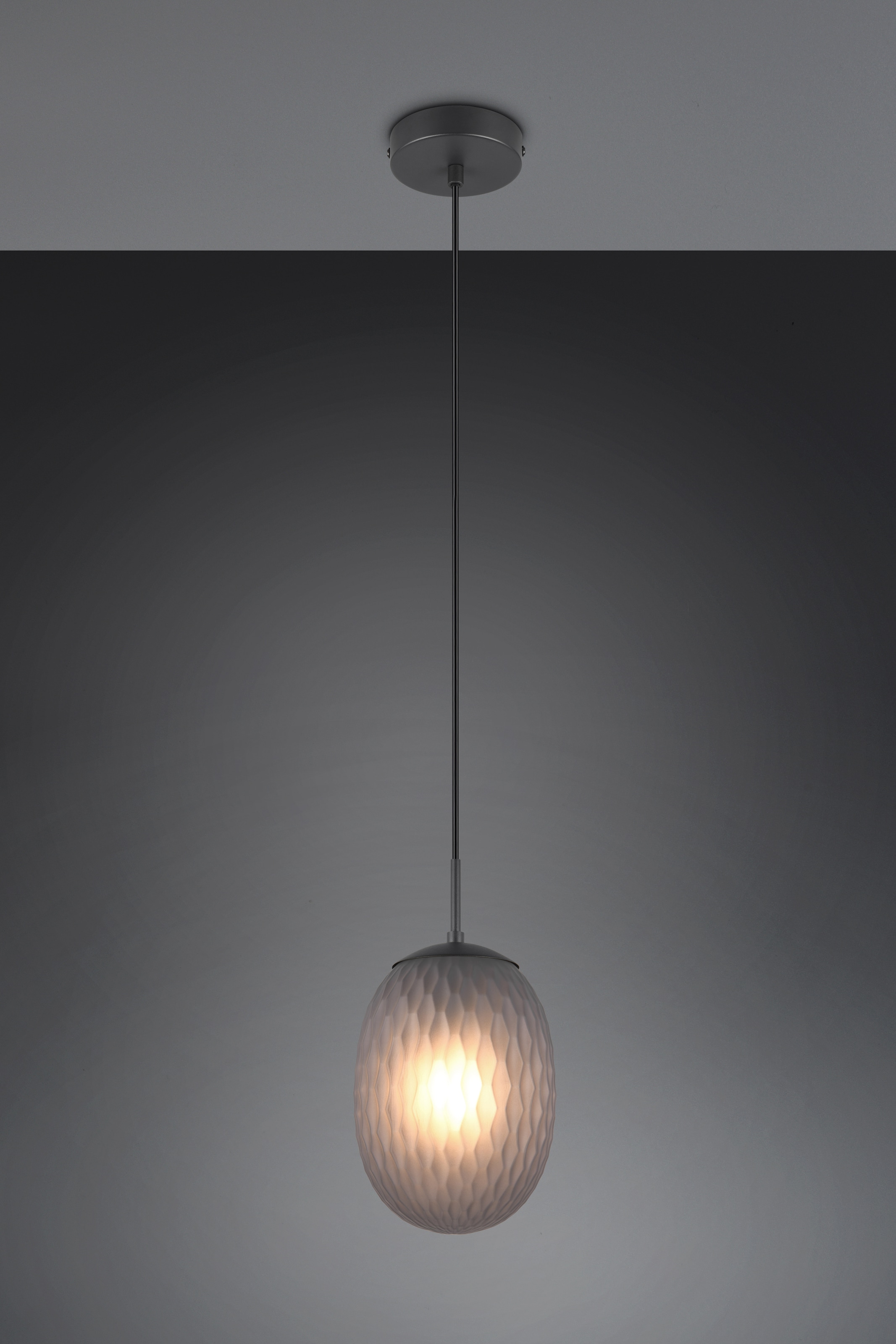 TRIO Leuchten Pendelleuchte »FACETTE, Hängeleuchte mit facettiertem Glasschirm in rauchgrau Ø 18cm« E27 1 Stk. warmweiß - kaltweiß exkl. Leuchtmittel E27 max 25W, Höhe einstellbar max 150cm