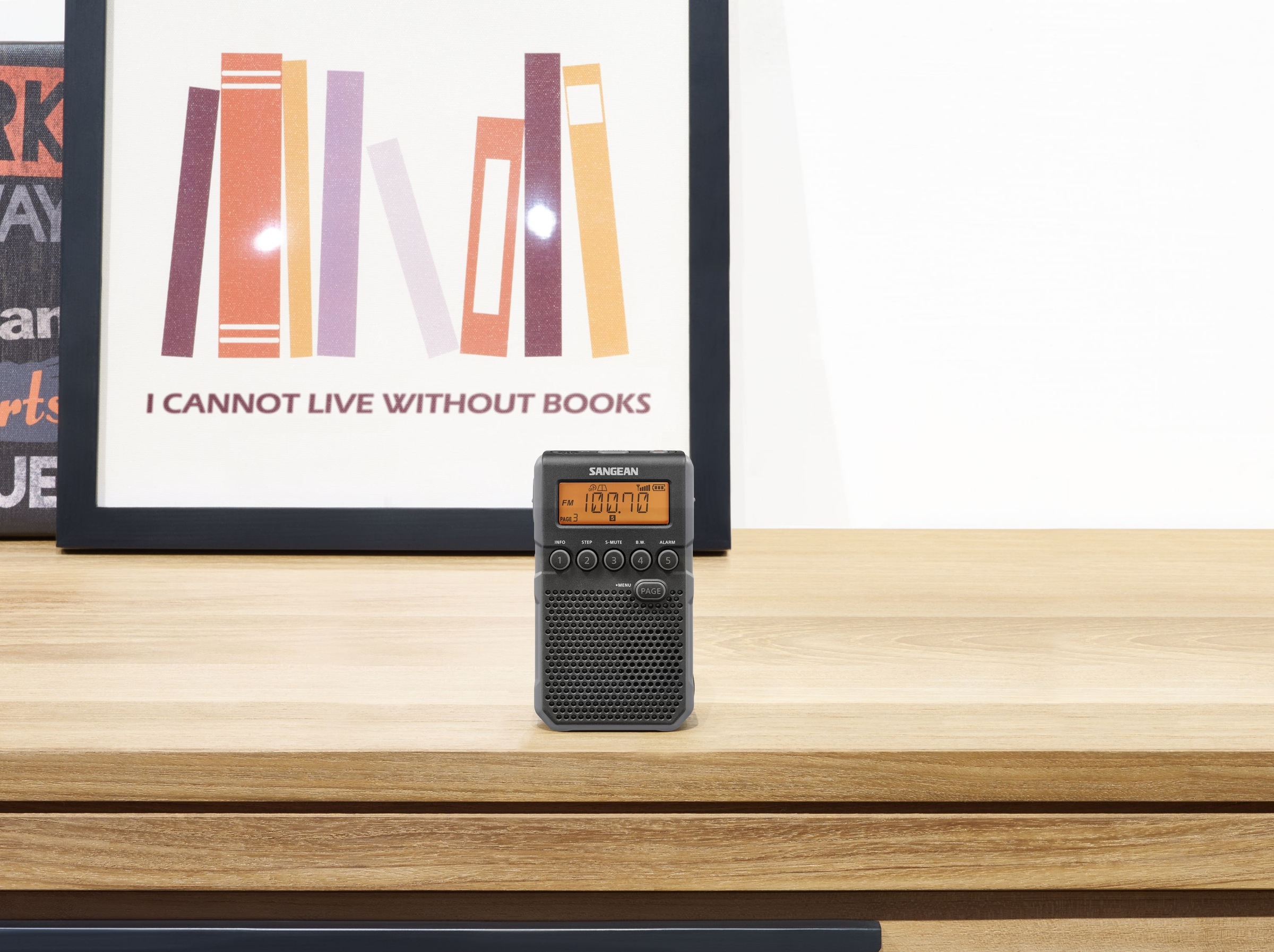 Sangean Radio »SANGEAN Pocket 800 DT-800«, (AM-Tuner-FM-Tuner)