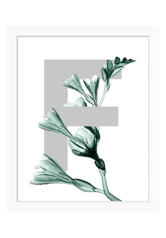 Bild »F-Flower«, Buchstaben, gerahmt, Blume, Blätter