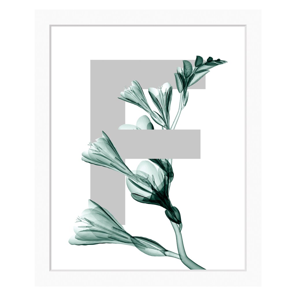queence Bild »F-Flower«, Buchstaben, gerahmt, Blume, Blätter