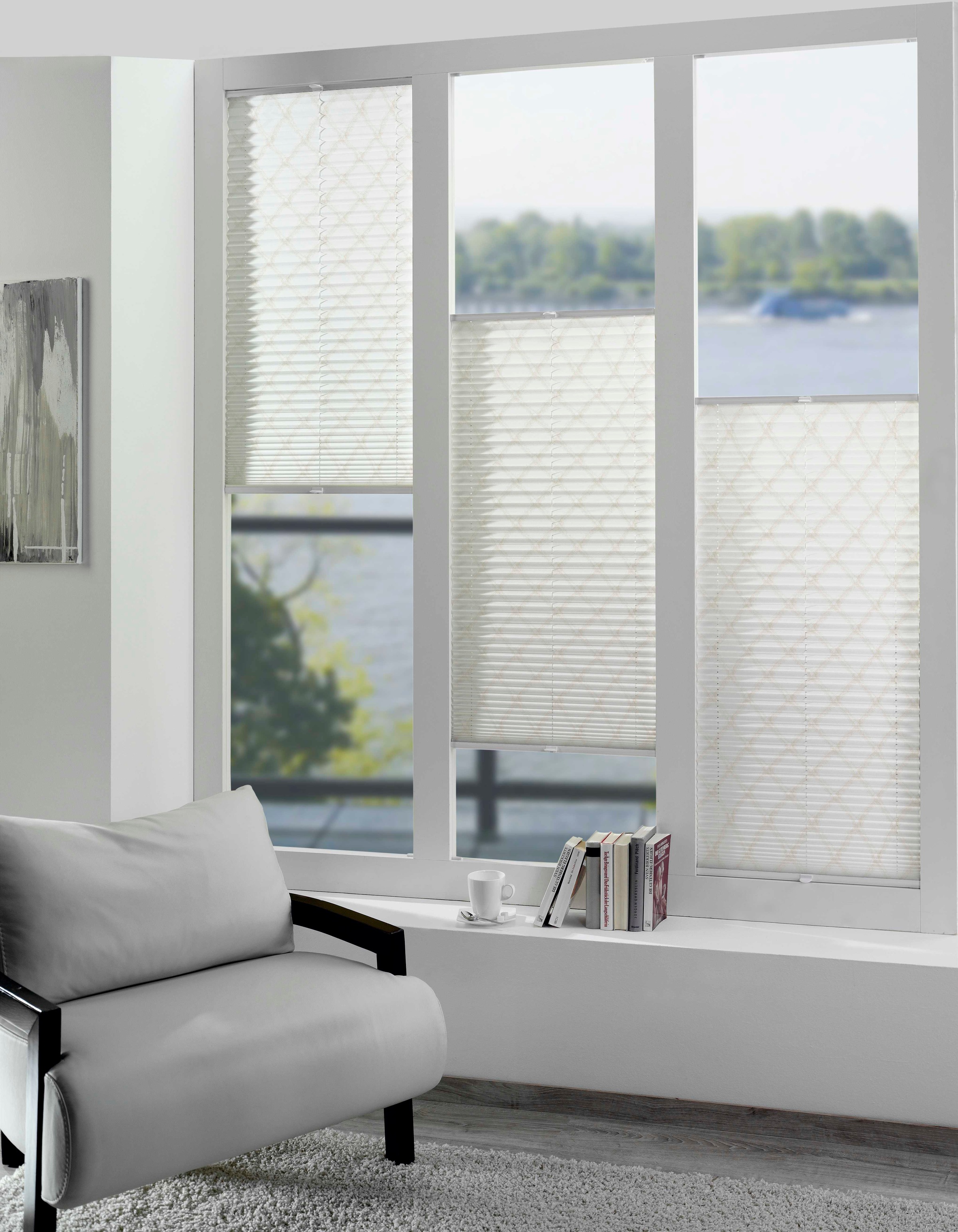DELAVITA Plissee nach Maß »CARLOW«, Lichtschutz, mit Bohren, verspannt, Krepp-Optik,... kaufen