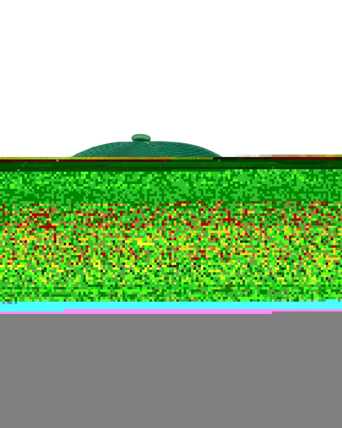 Quiksilver Trucker Cap »Classic Foam«