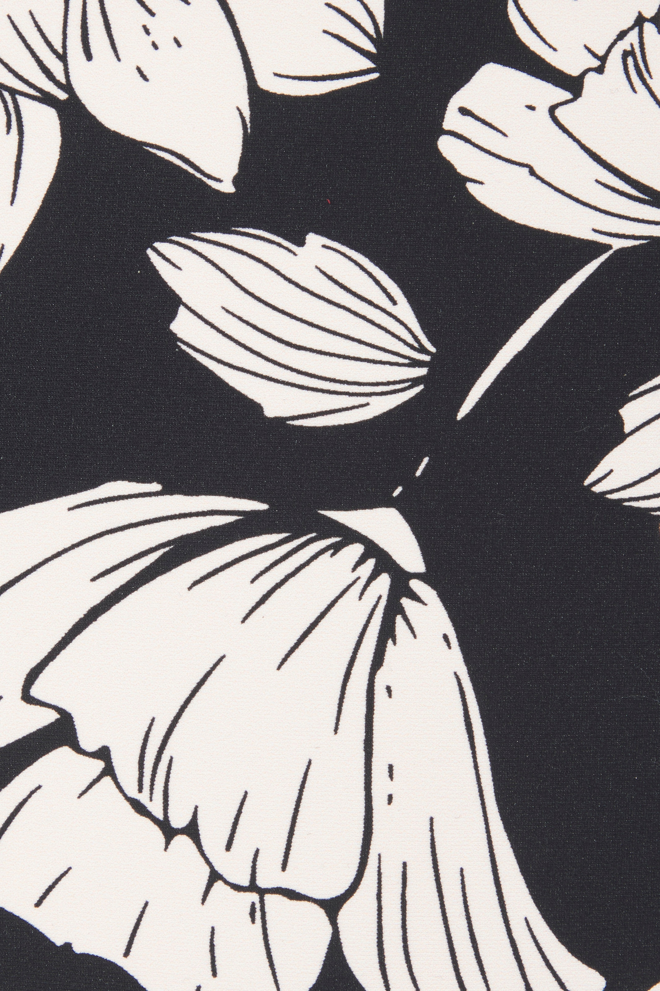 s.Oliver Bikini-Hose »Lady« mit floralem Design