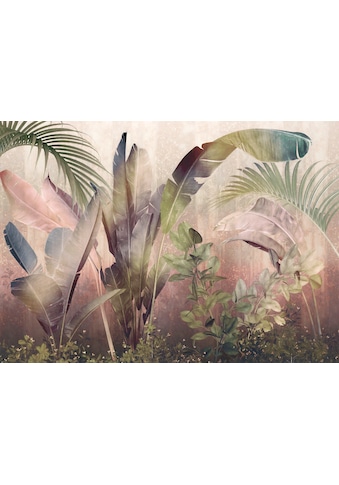 Komar Fototapete »Rainforest Mist«, bedruckt-tarnfarben-Ton-in-Ton, Vlies, Wand,... kaufen