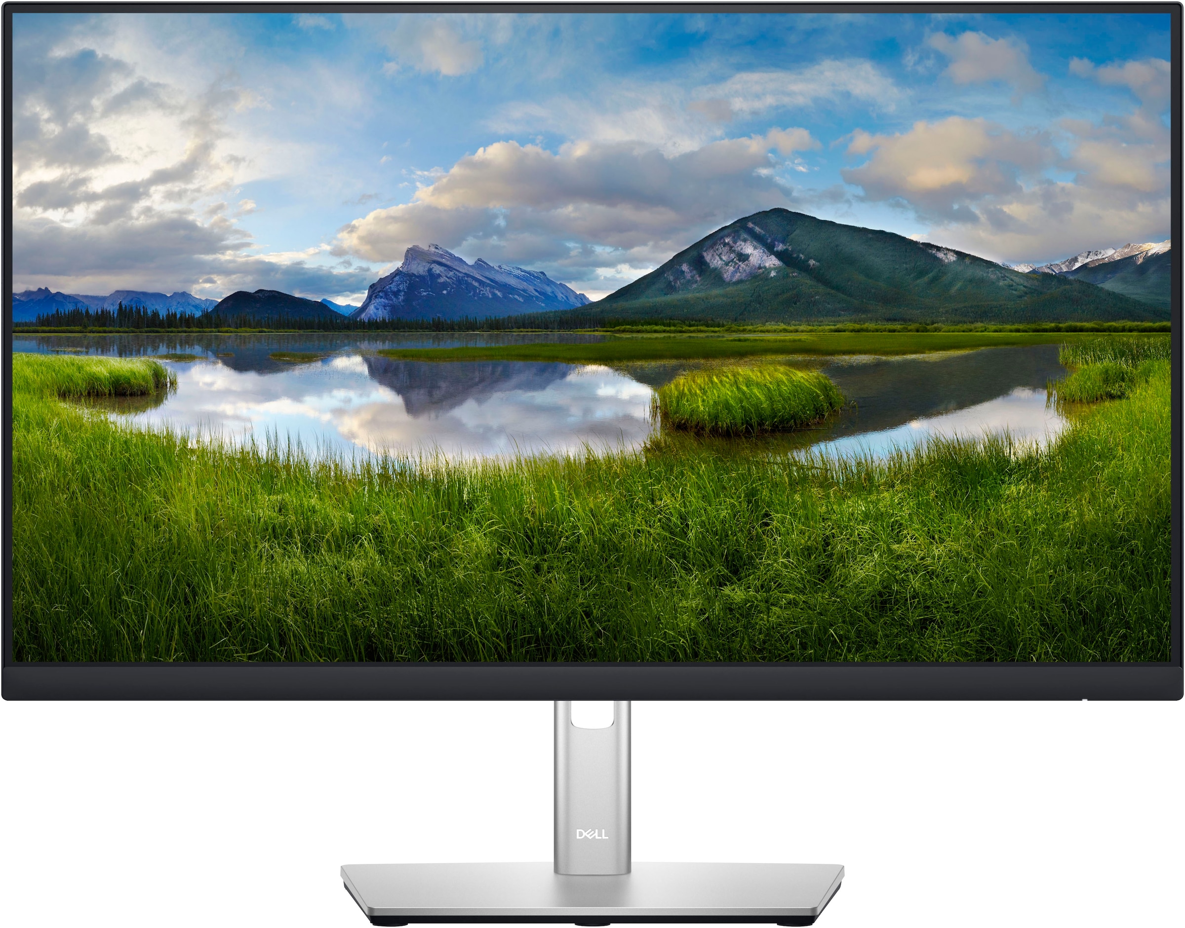 LED-Monitor »P2422H«, 61 cm/24 Zoll, 1920 x 1080 px, Full HD, 8 ms Reaktionszeit, 60 Hz