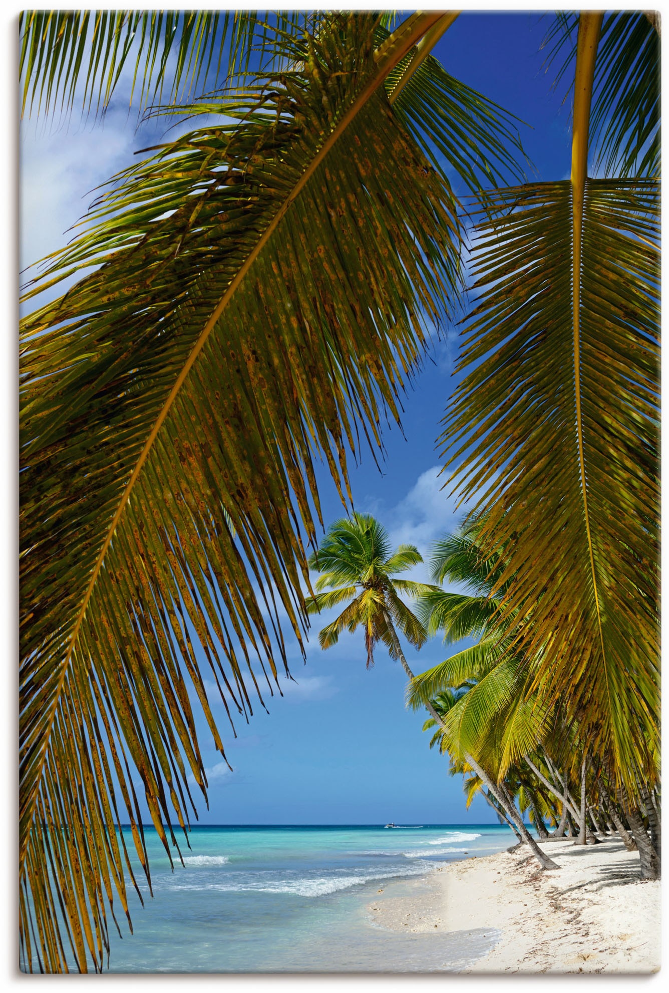 Insel oder Poster versch. kaufen St.), als Wandbild Isla (1 Saona«, »Palmenstrand, Größen Alubild, Wandaufkleber bequem Karibikbilder, Leinwandbild, Artland in