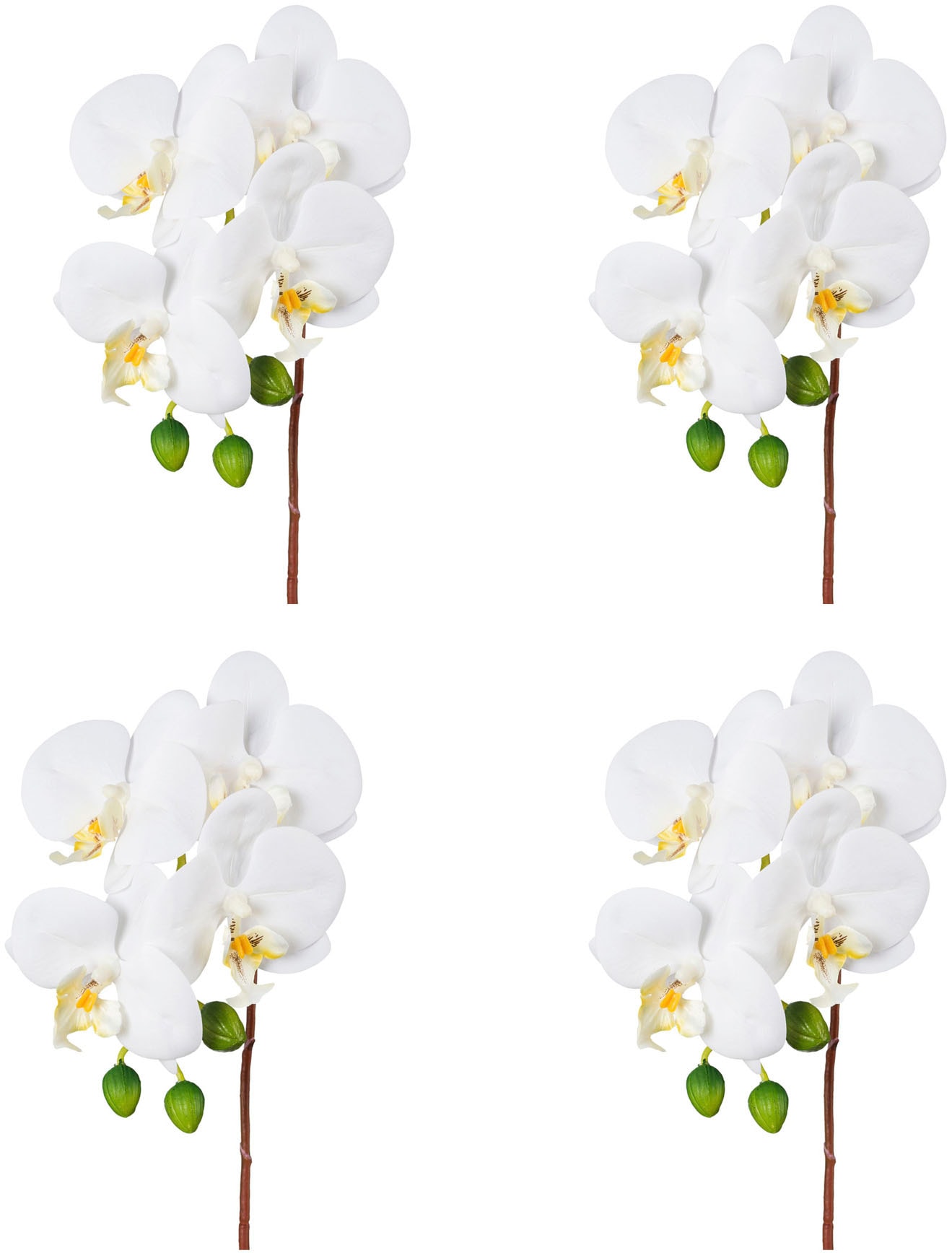 Creativ green Kunstorchidee »Orchidee Phalaenopsis«, mit real-touch-Blüten