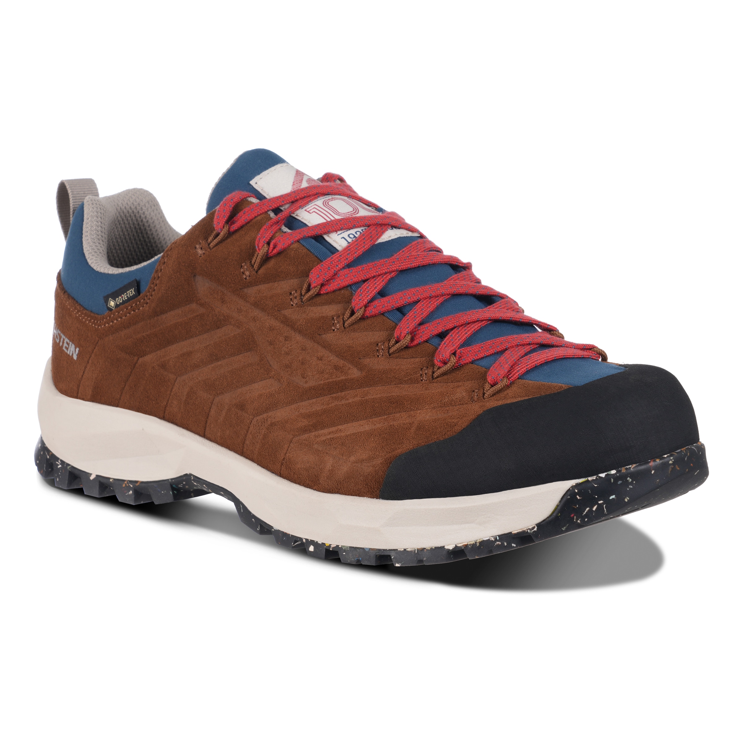 Dachstein Wanderschuh »SF-21 GTX 1925«, wasserdicht
