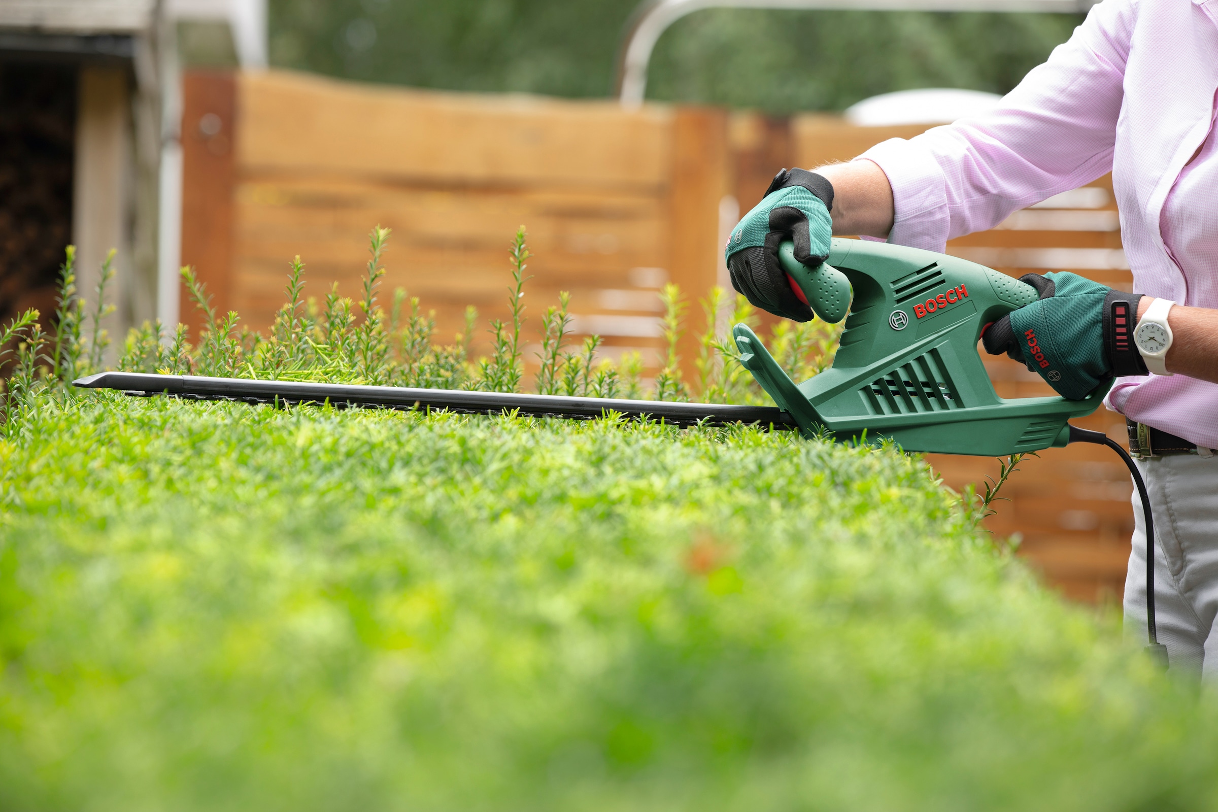 BOSCH Elektro-Heckenschere »EasyHedgeCut55«, 55 cm Schnittlänge