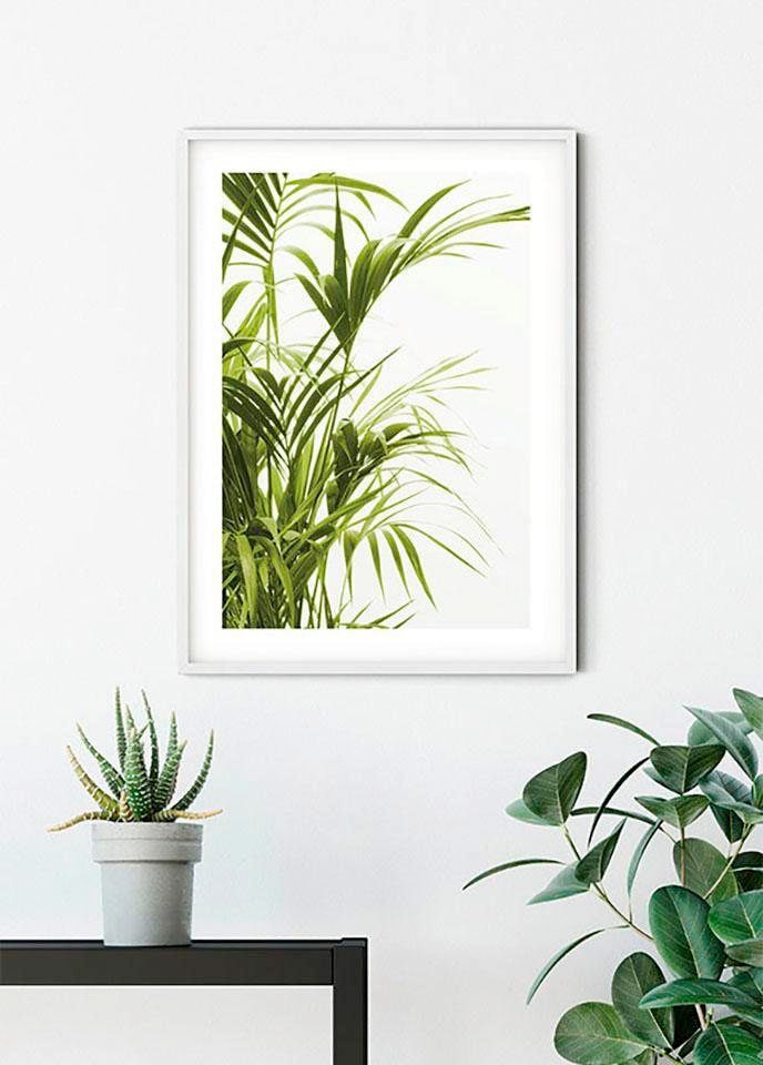 Komar Bild »Reed Leaves«, Pflanzen-Blätter, (1 St.), Wandbild zur Dekoration - ohne Rahmen