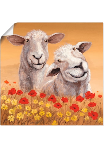 Artland Wandbild »Schafe«, Haustiere, (1 St.), als Alubild, Leinwandbild,... kaufen