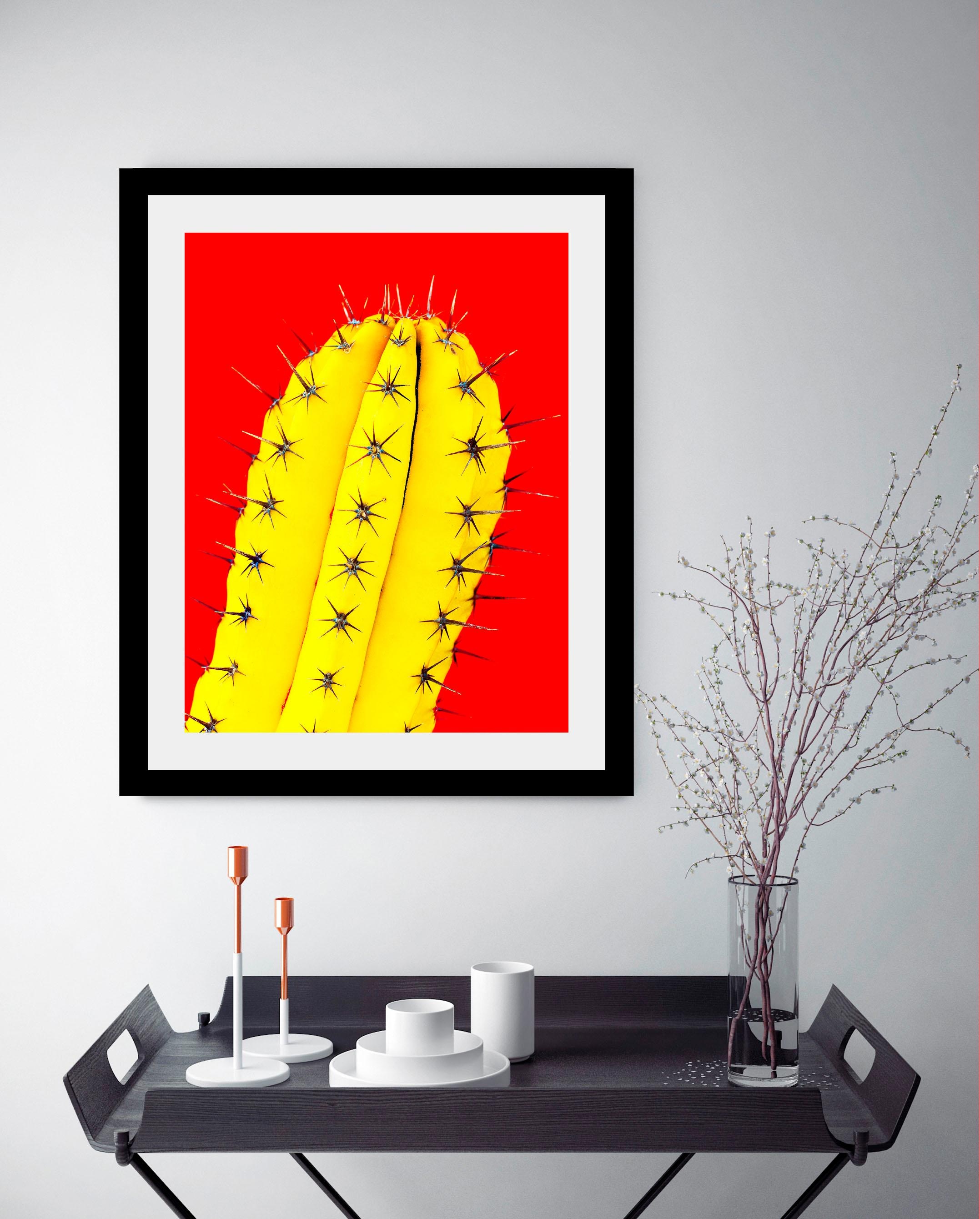 queence Bild »Kaktus«, Kunst-Pflanzen-Foto-Pflanzenbilder, HD Premium Poster-Druck inkl. Holzrahmen