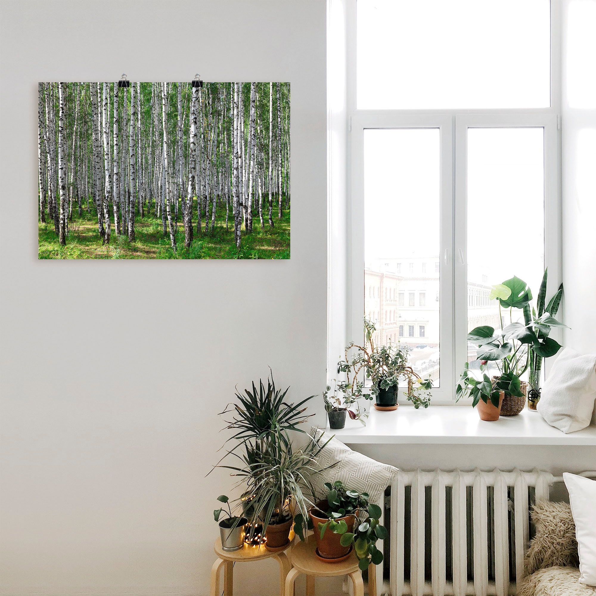 Artland Wandbild »Birkenwald«, Wald, (1 St.), als Poster, Wandaufkleber in verschied. Größen