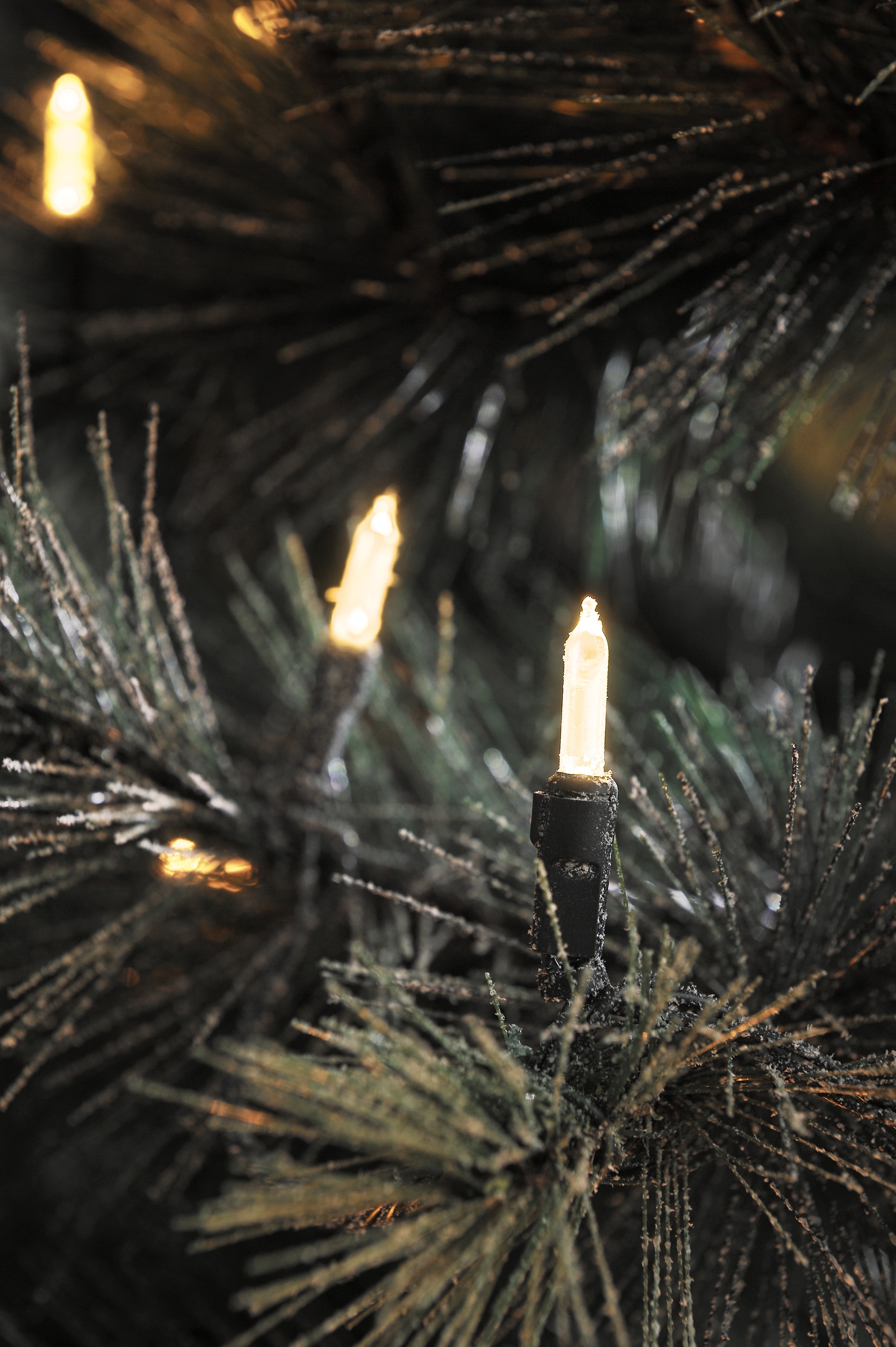 KONSTSMIDE LED-Lichterkette »Weihnachtsdeko aussen«, 40 St.-flammig, LED  Minilichterkette, 40 warm weiße Dioden auf Raten bestellen
