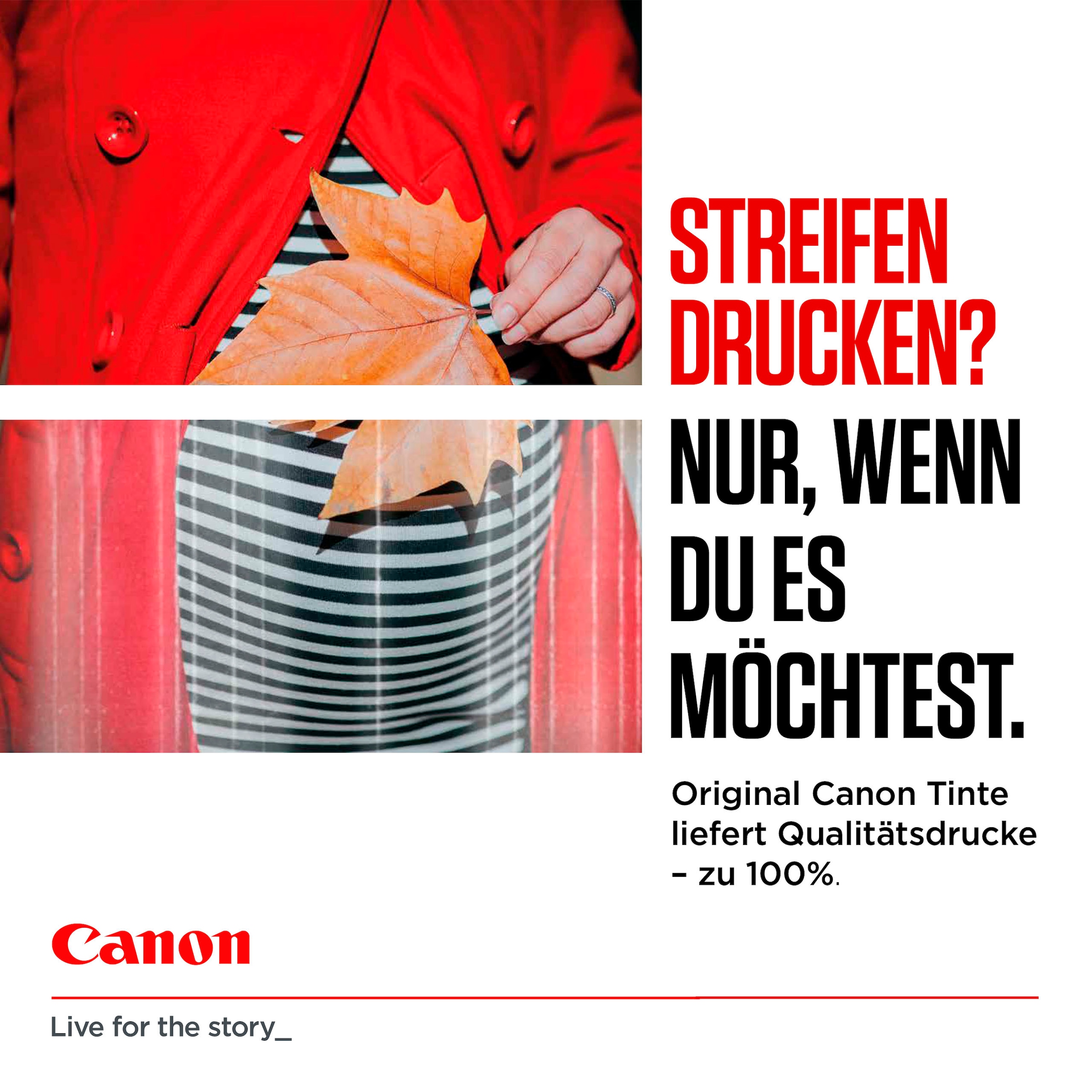 Canon Tintenpatrone »PG-585 XL«